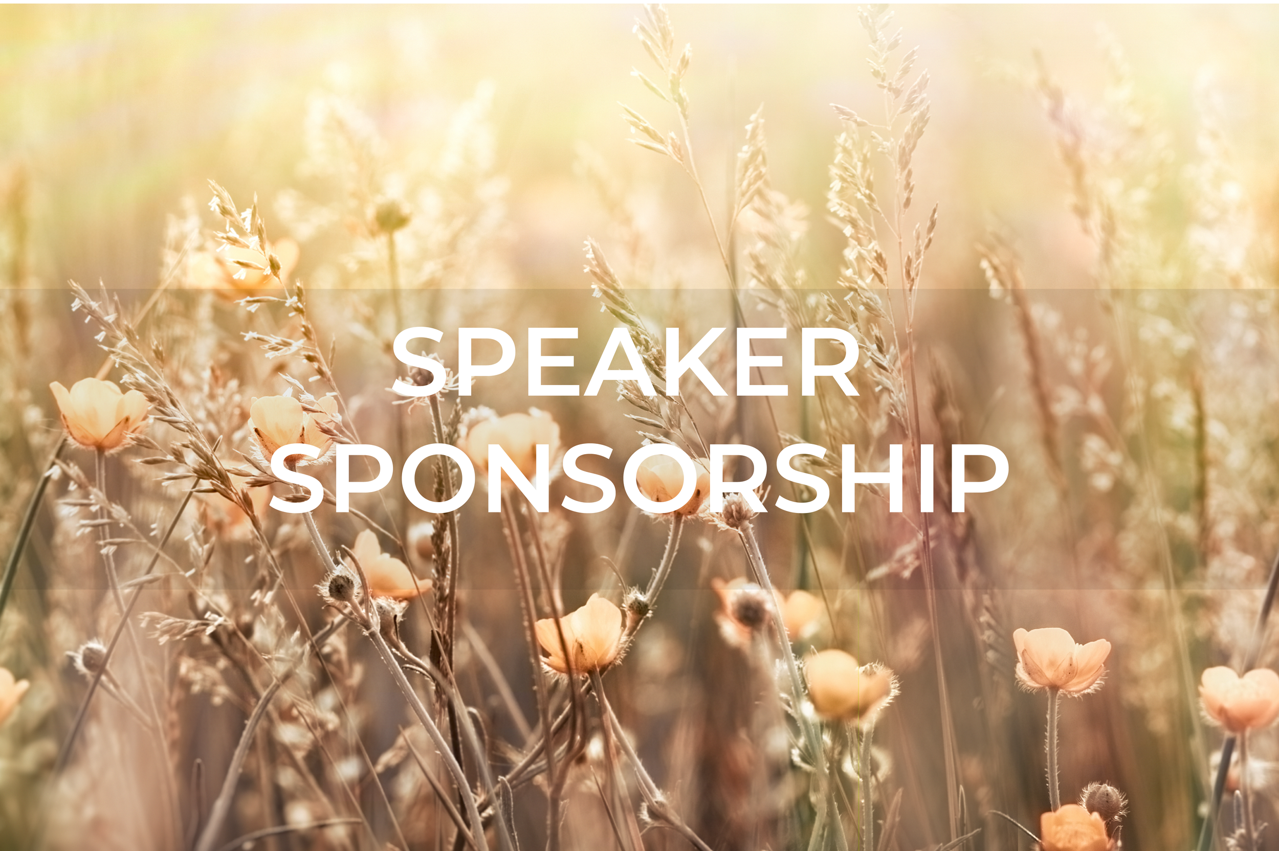 Level 1 Speaker Sponsorship