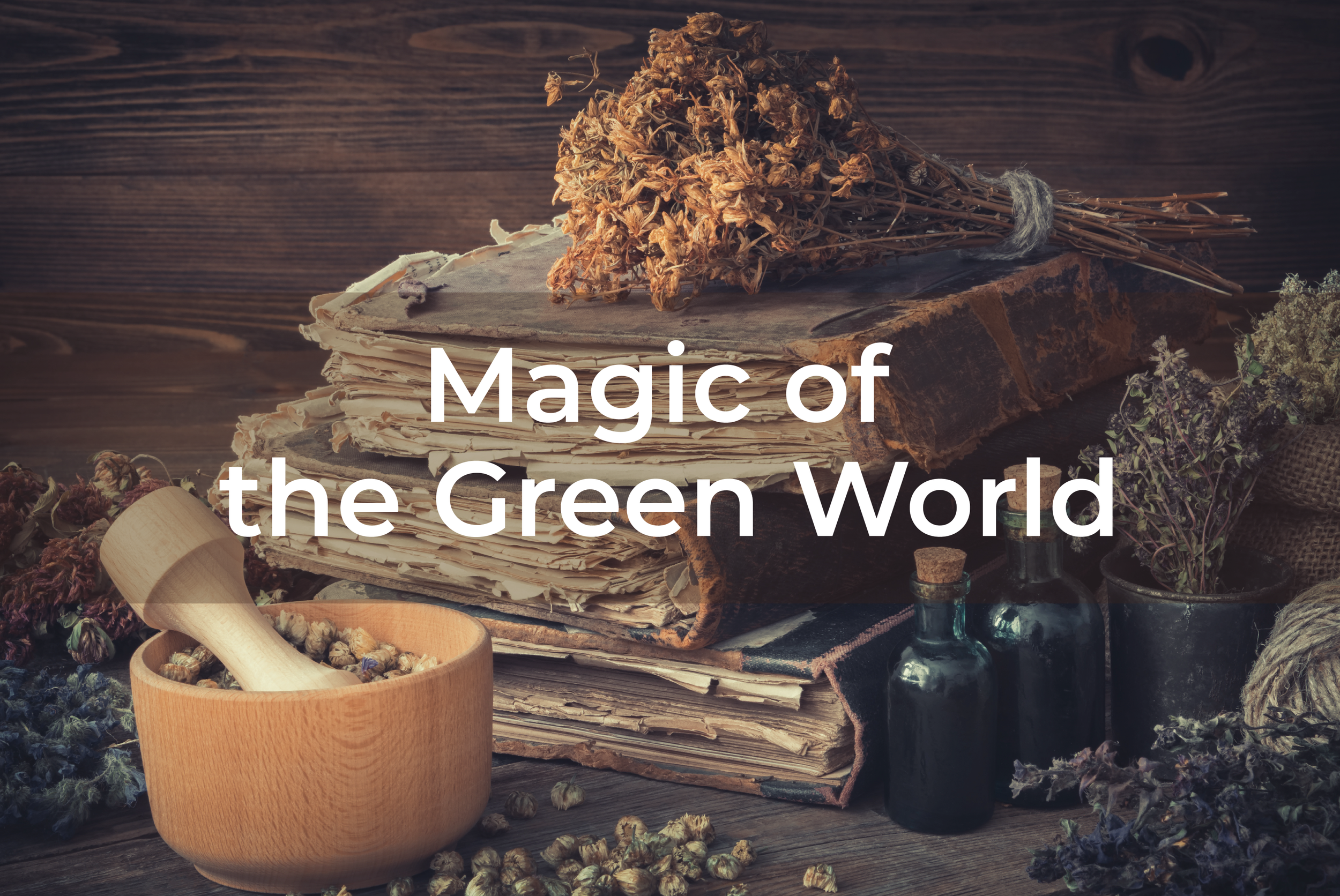 Saturday 10am: Magic of the Green World with Sara Stewart Martinelli