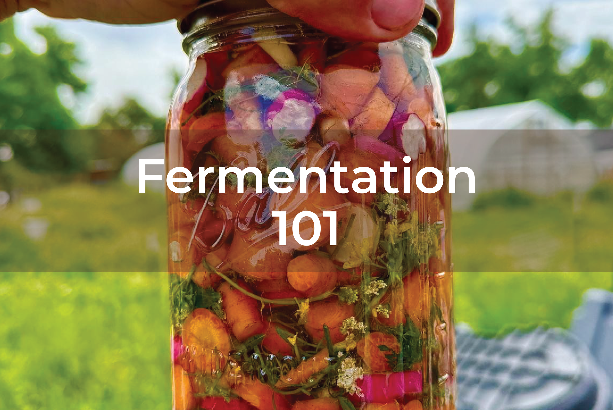 fermentation 101.png