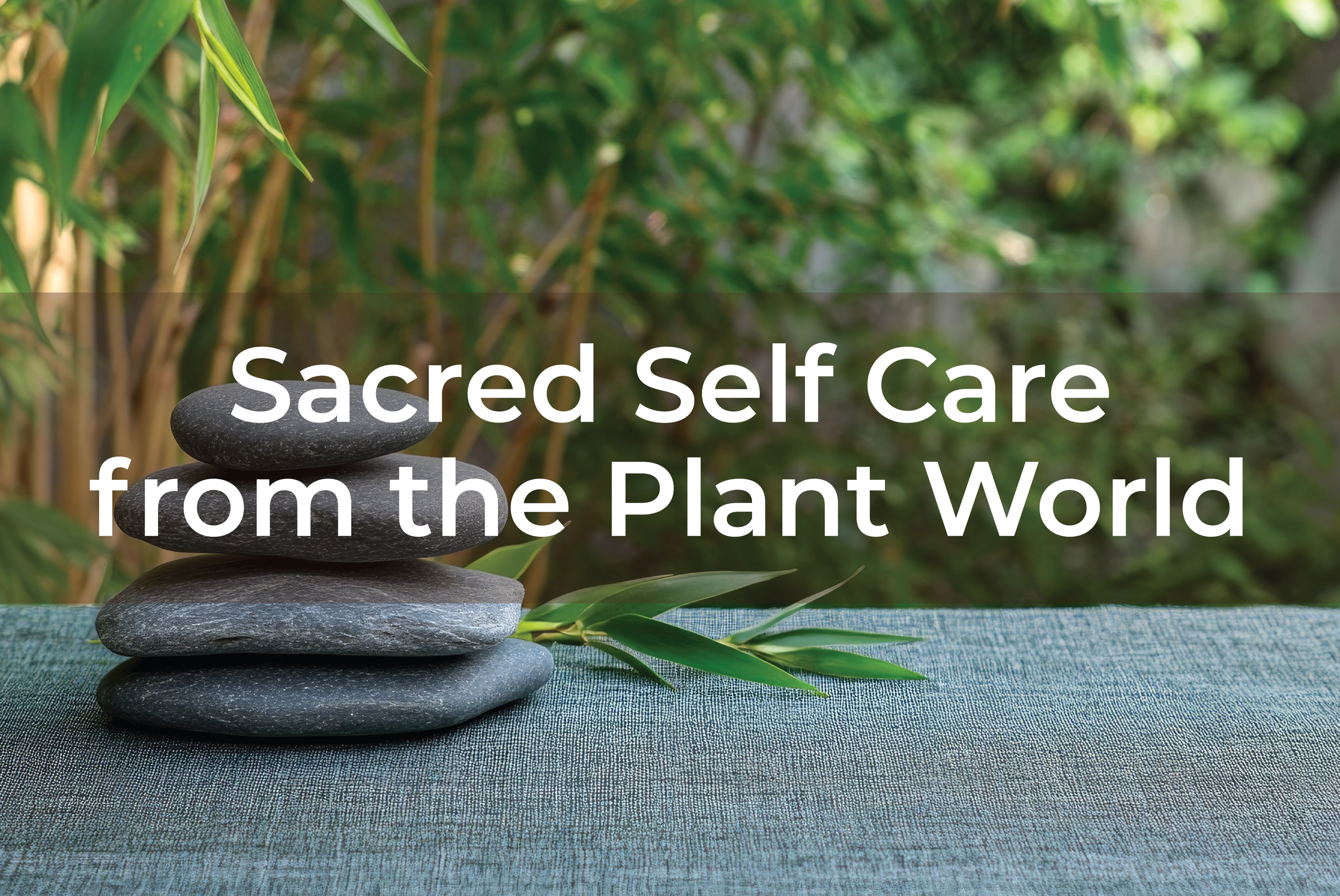 Sunday 1pm: Sacred Self Care from the Plant World with Brigitte Mars