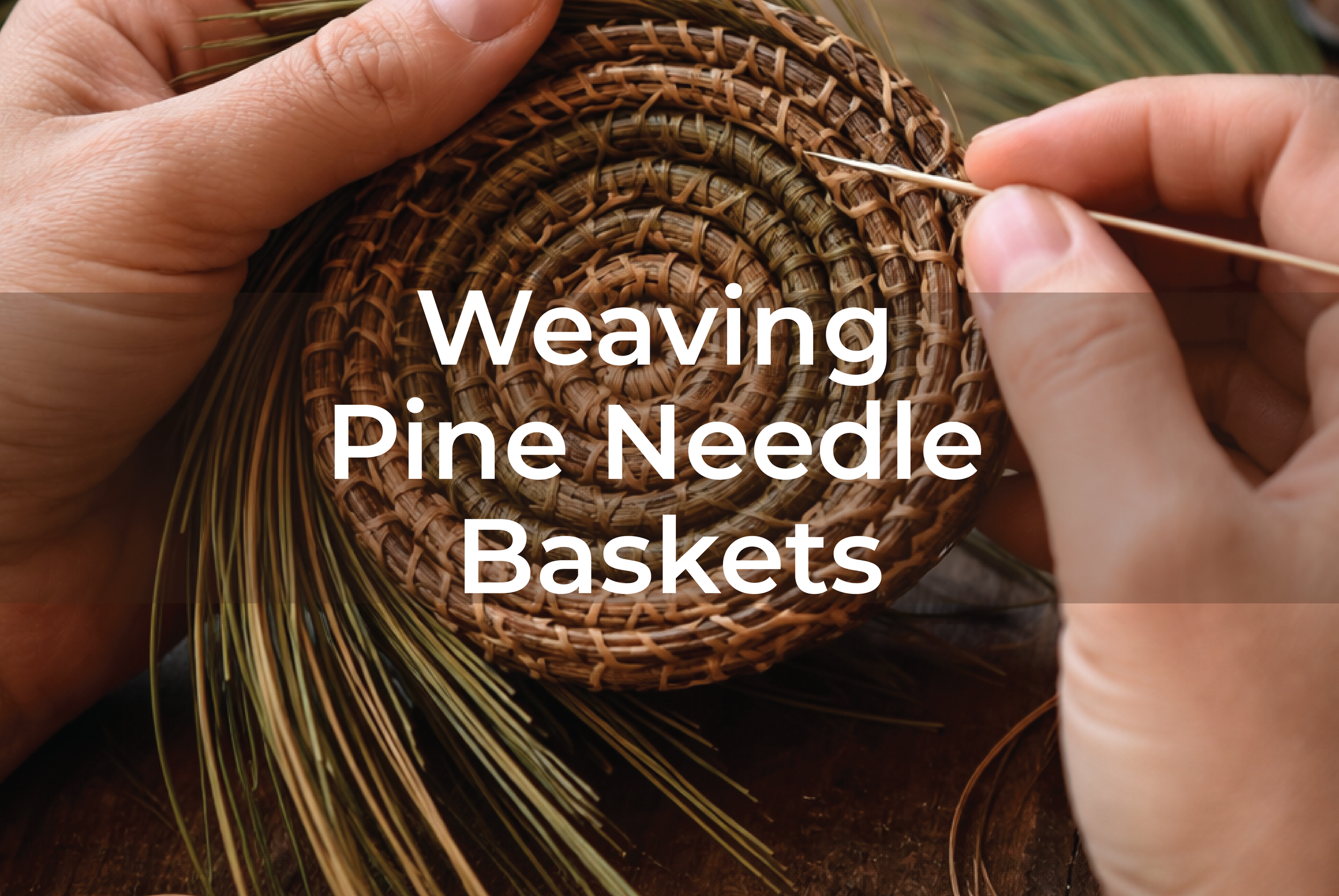 Saturday 1pm: Pine Needle Baskets with Julia Lyons