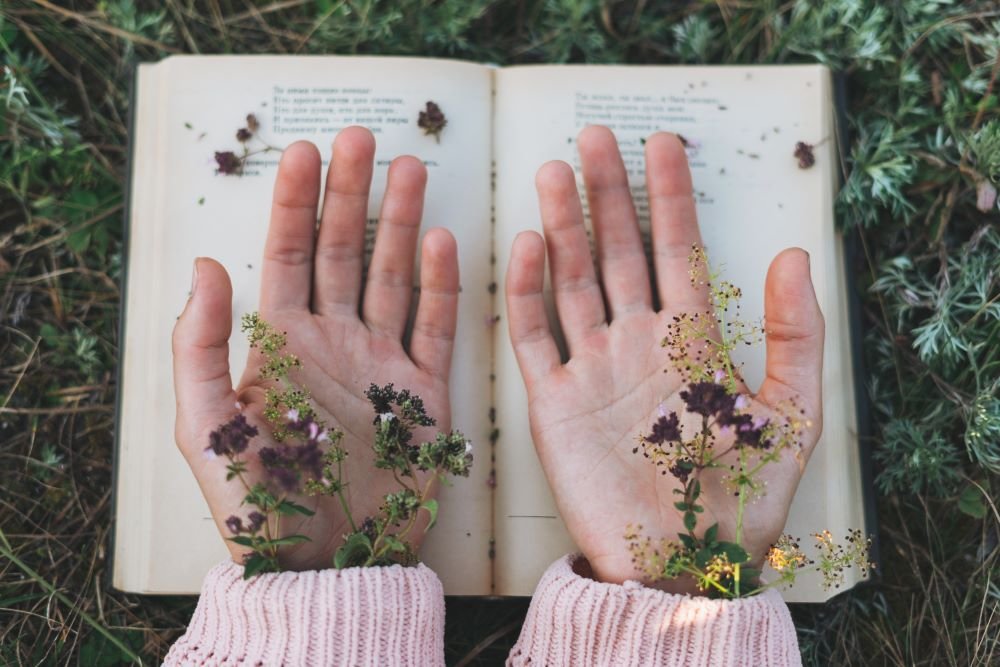 10 AM - Embodied Poetics: A Land-Based Invitation to the Poet Within with Laurel Madeline Silberman with Laurel Madeline Silberman