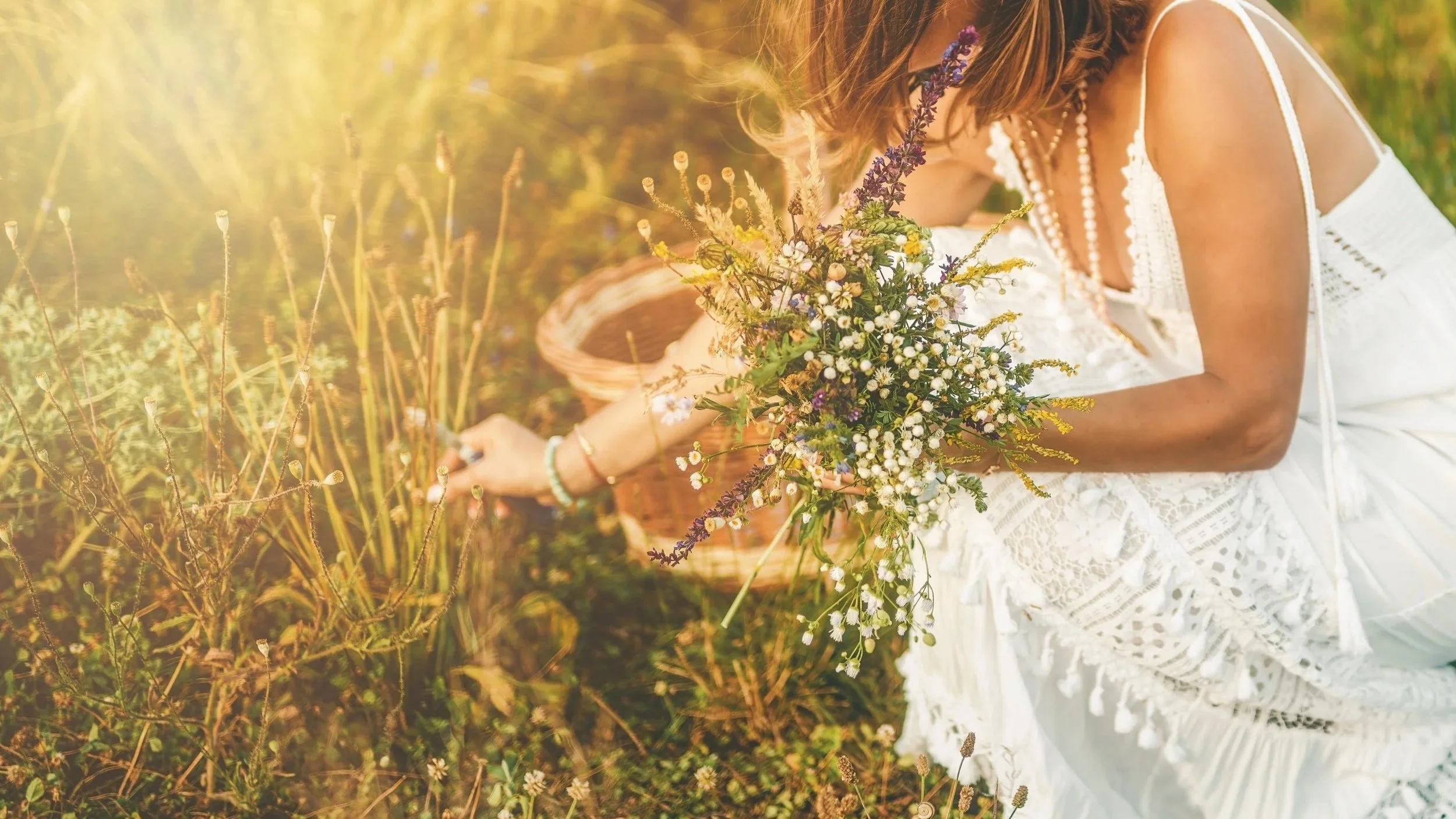 AdobeStock_572718033.jpg