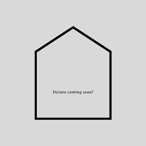 Picture coming soon!.png