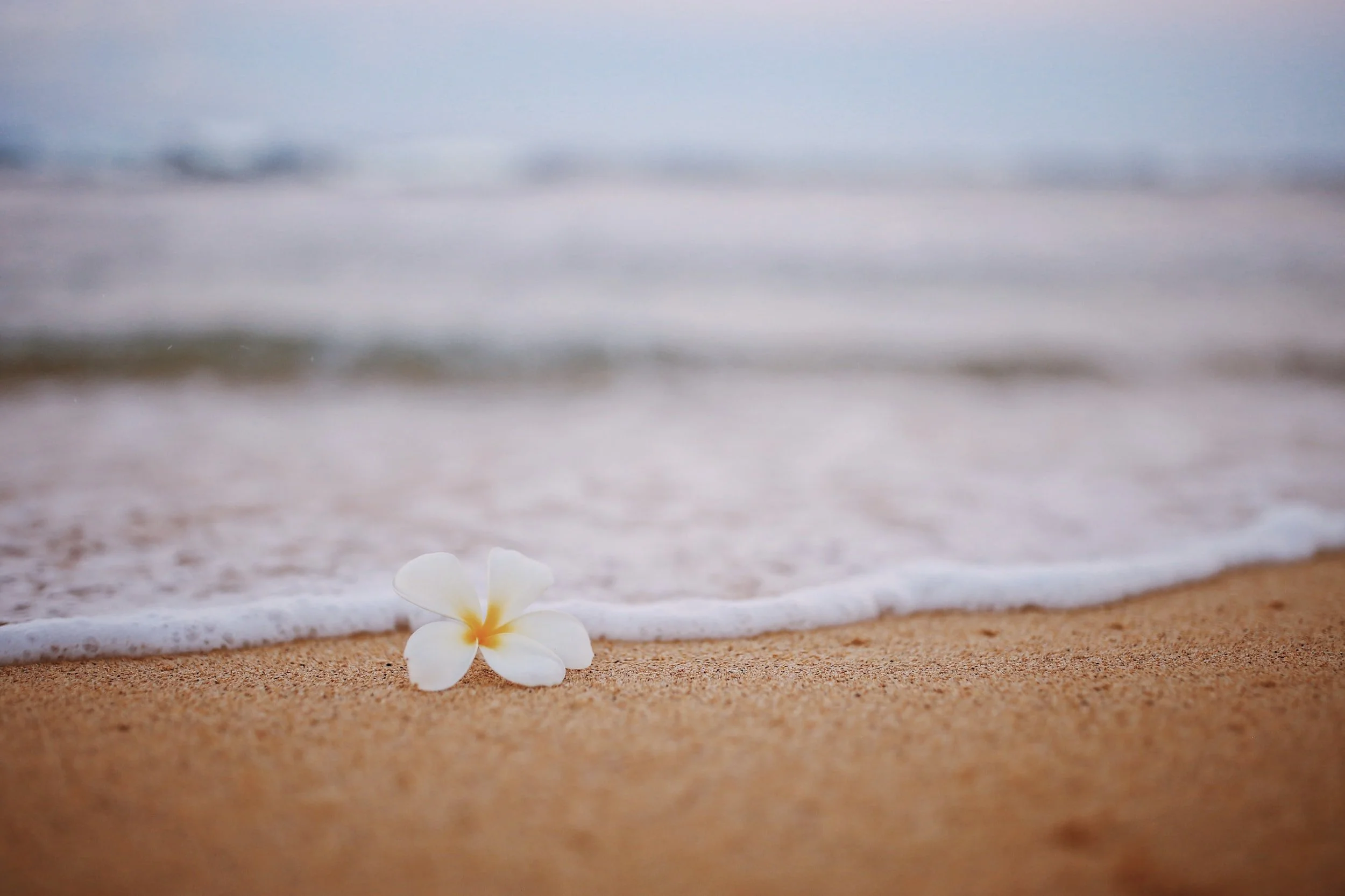 unsplash-image-PiWMleFfpP8.jpg