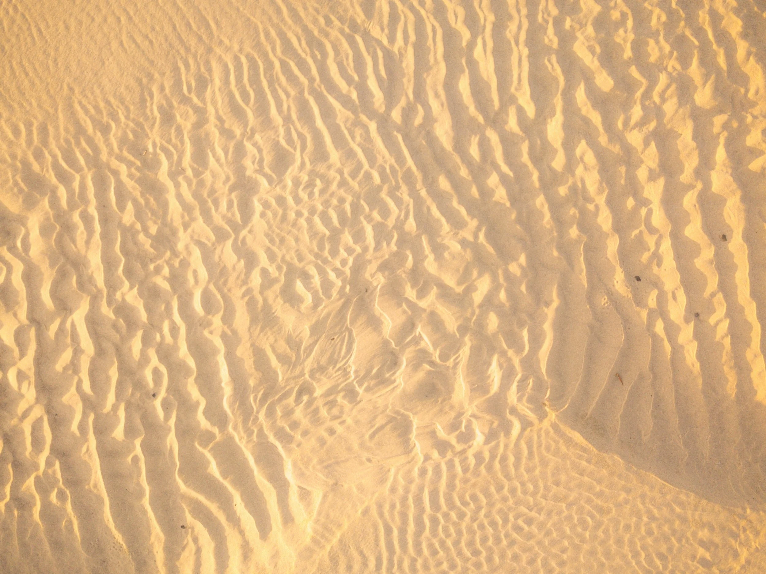 unsplash-image--c4MV3rKm9c.jpg