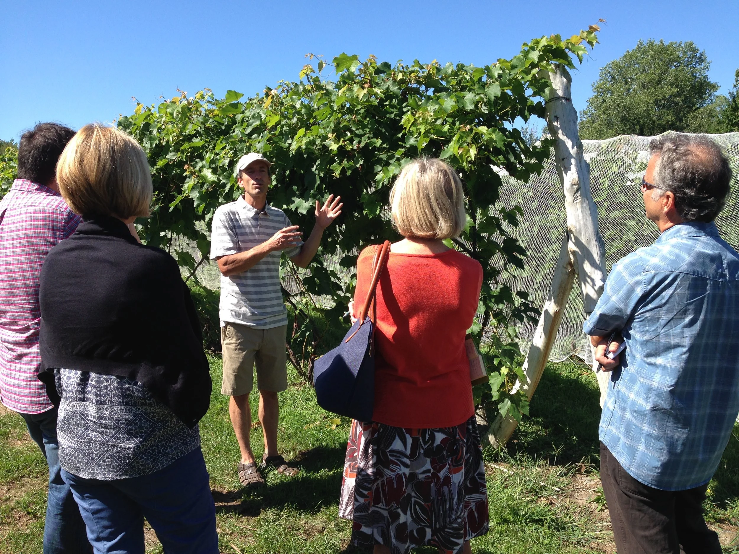  Visite média au Vignoble Château de Cartes 