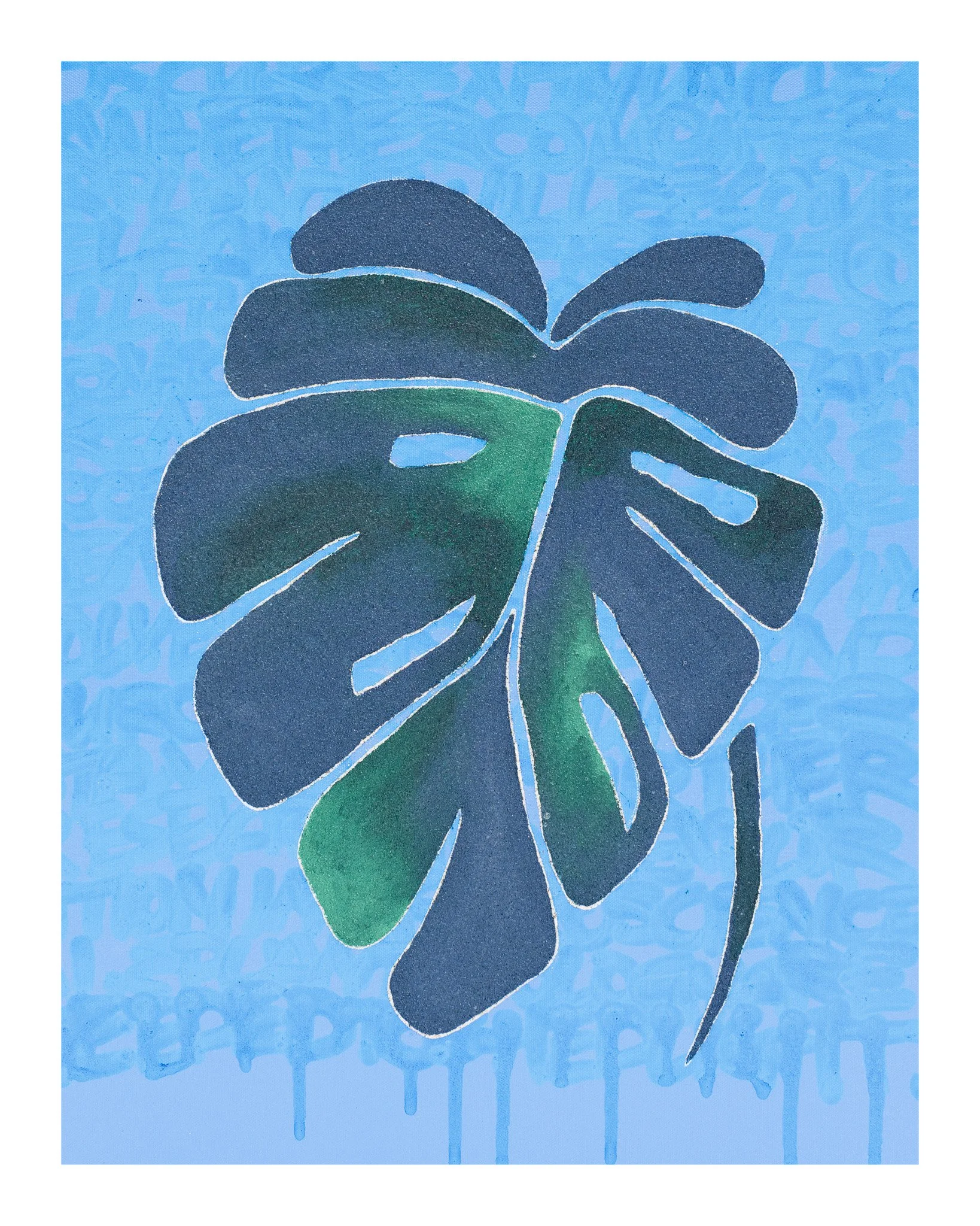 MONSTERA