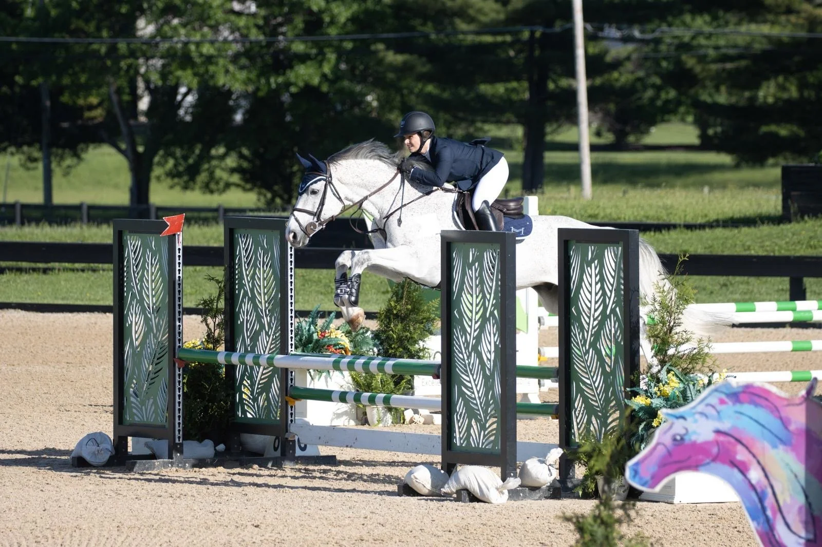 Elise &amp; "Chance"