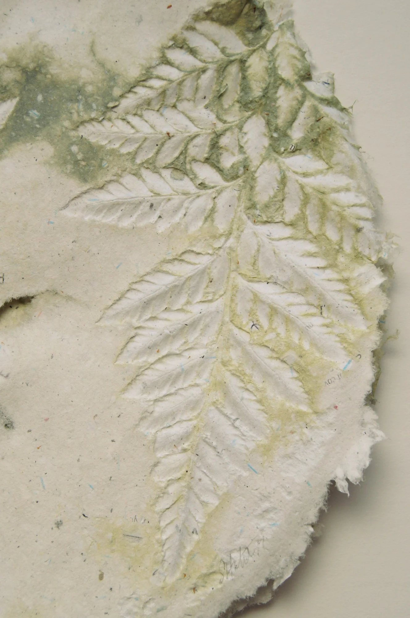 round fern paper detail.JPG