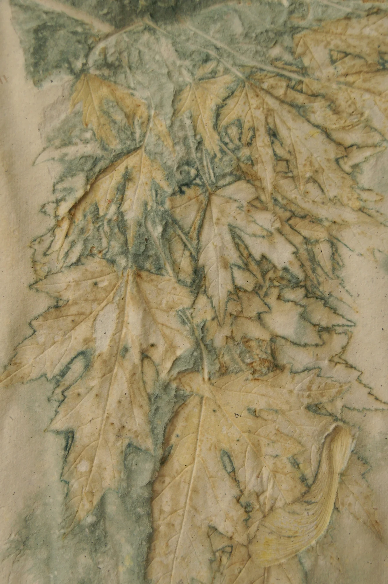 truth green detail.JPG