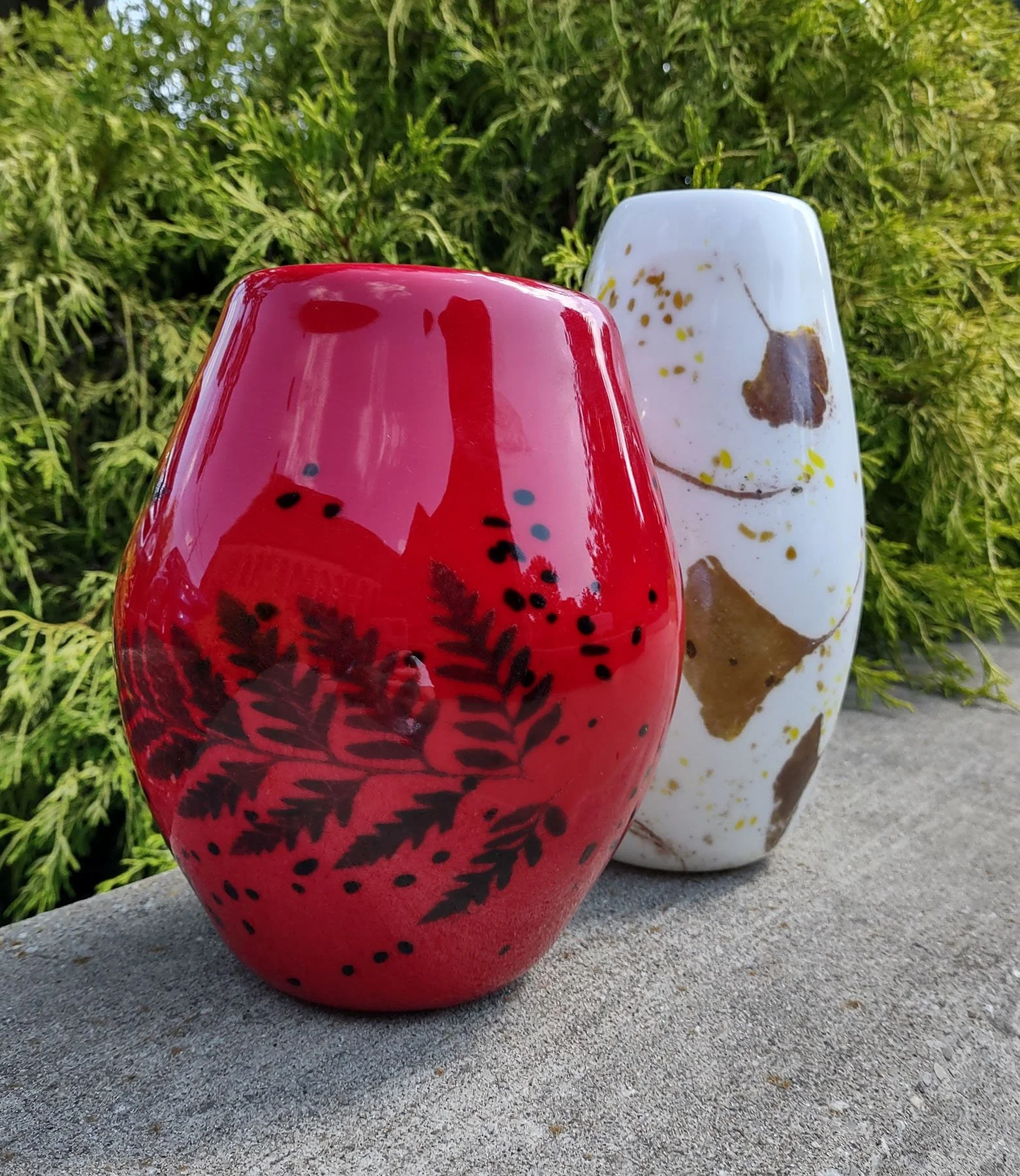 red black fern and gingko.jpg