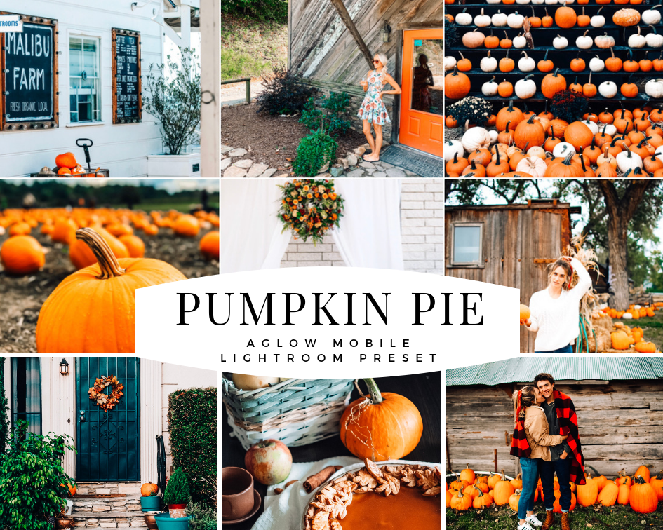 PUMPKIN PIE Mobile Preset