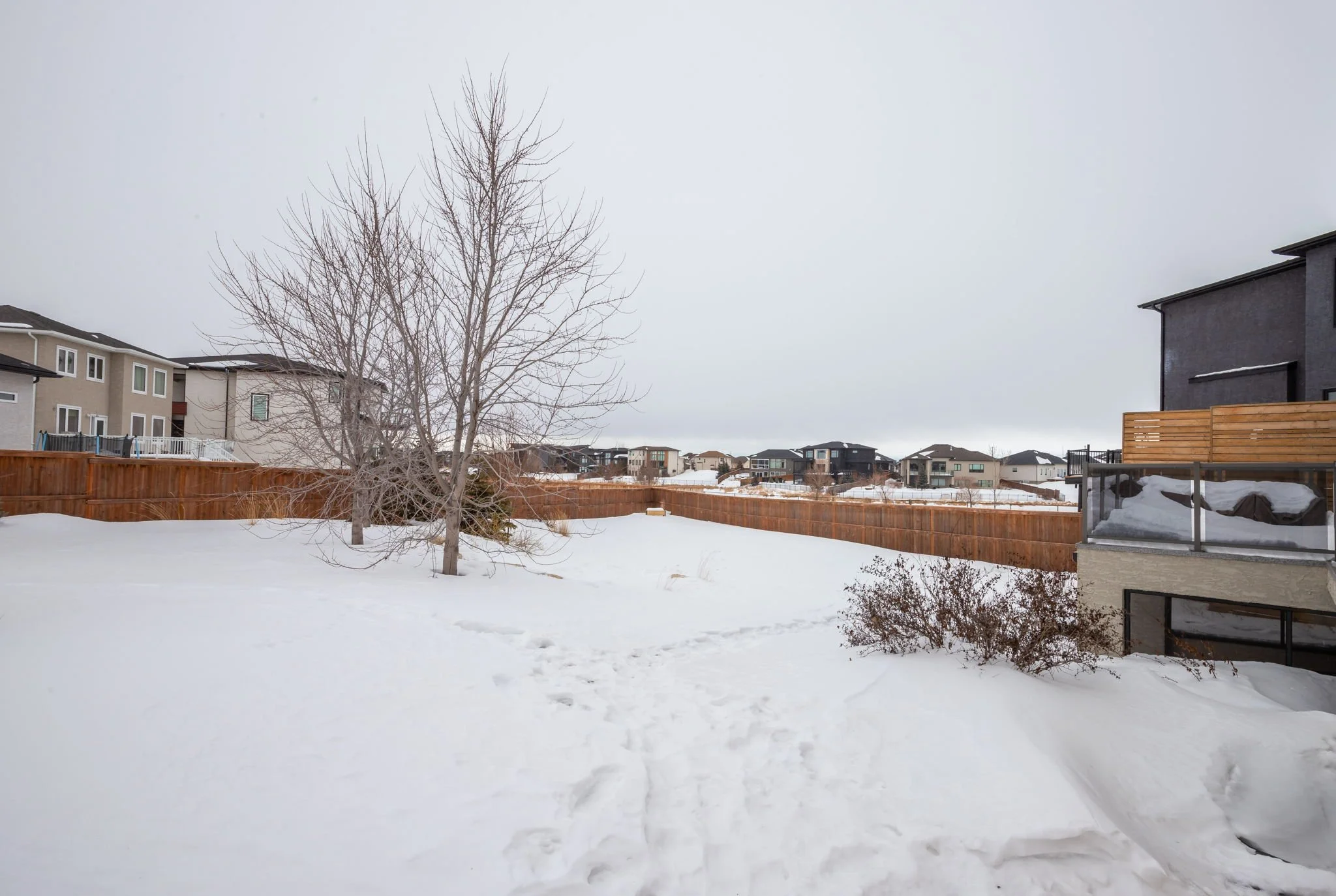 40-web-or-mls-19 Cattail-7.jpg