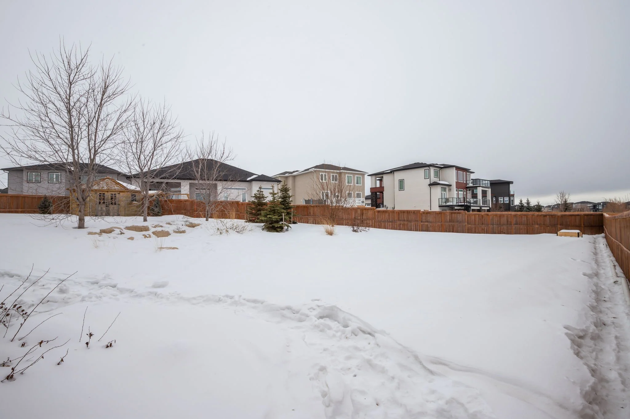 37-web-or-mls-19 Cattail-4.jpg