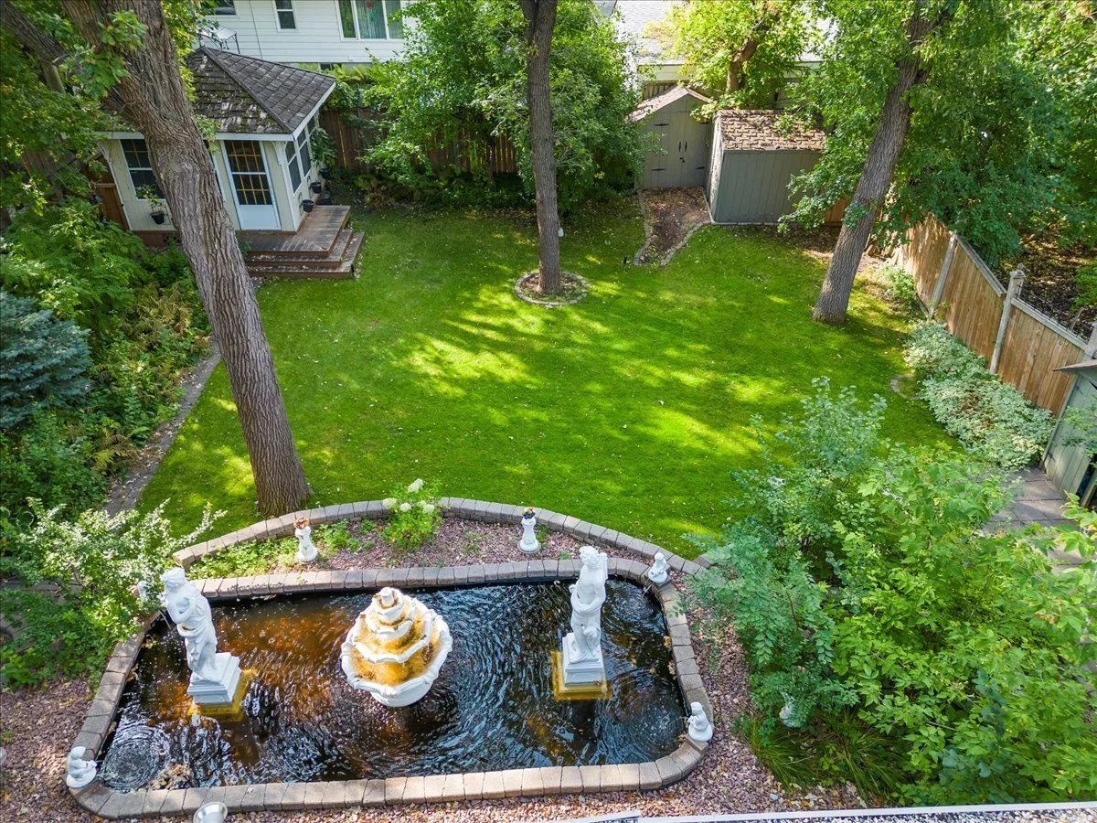 backyard.jpg