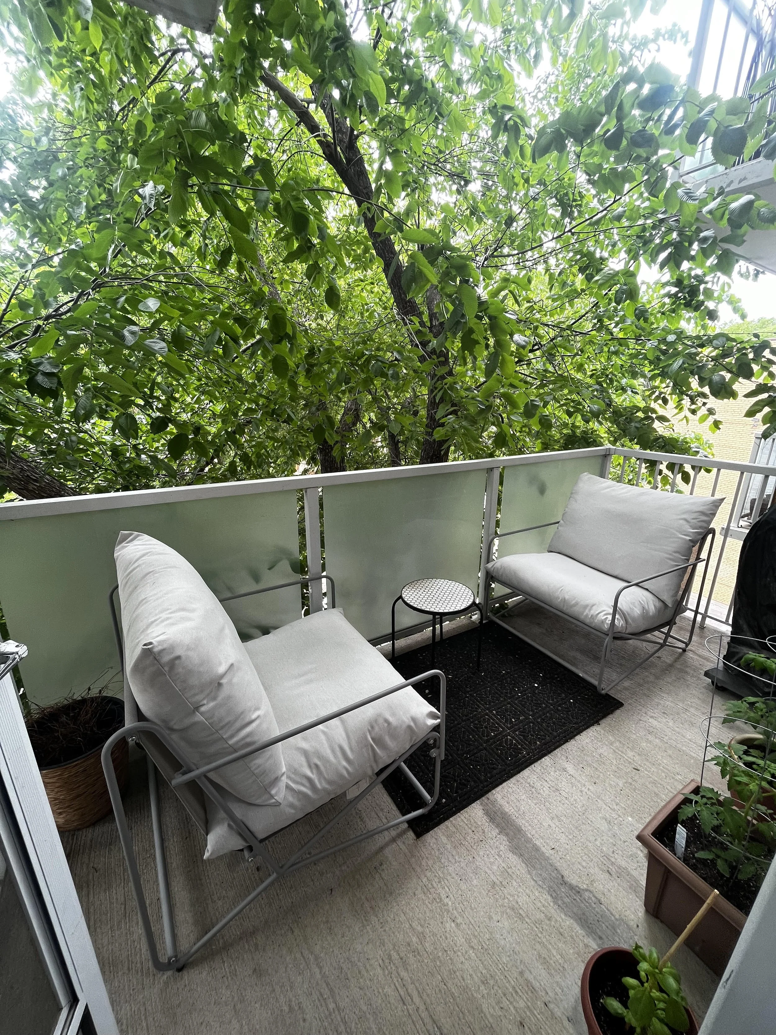patio summer.jpg