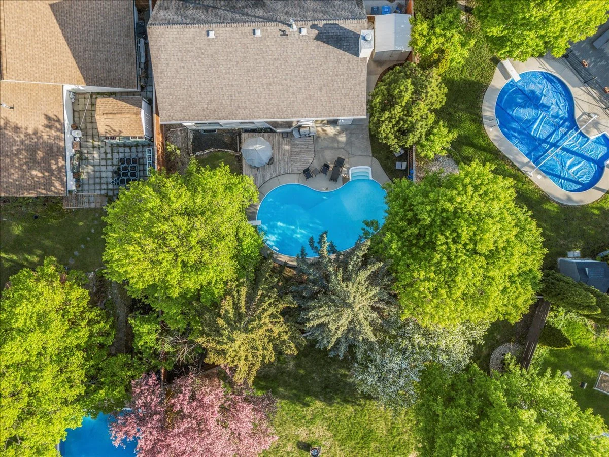 backyard overview 2.jpg