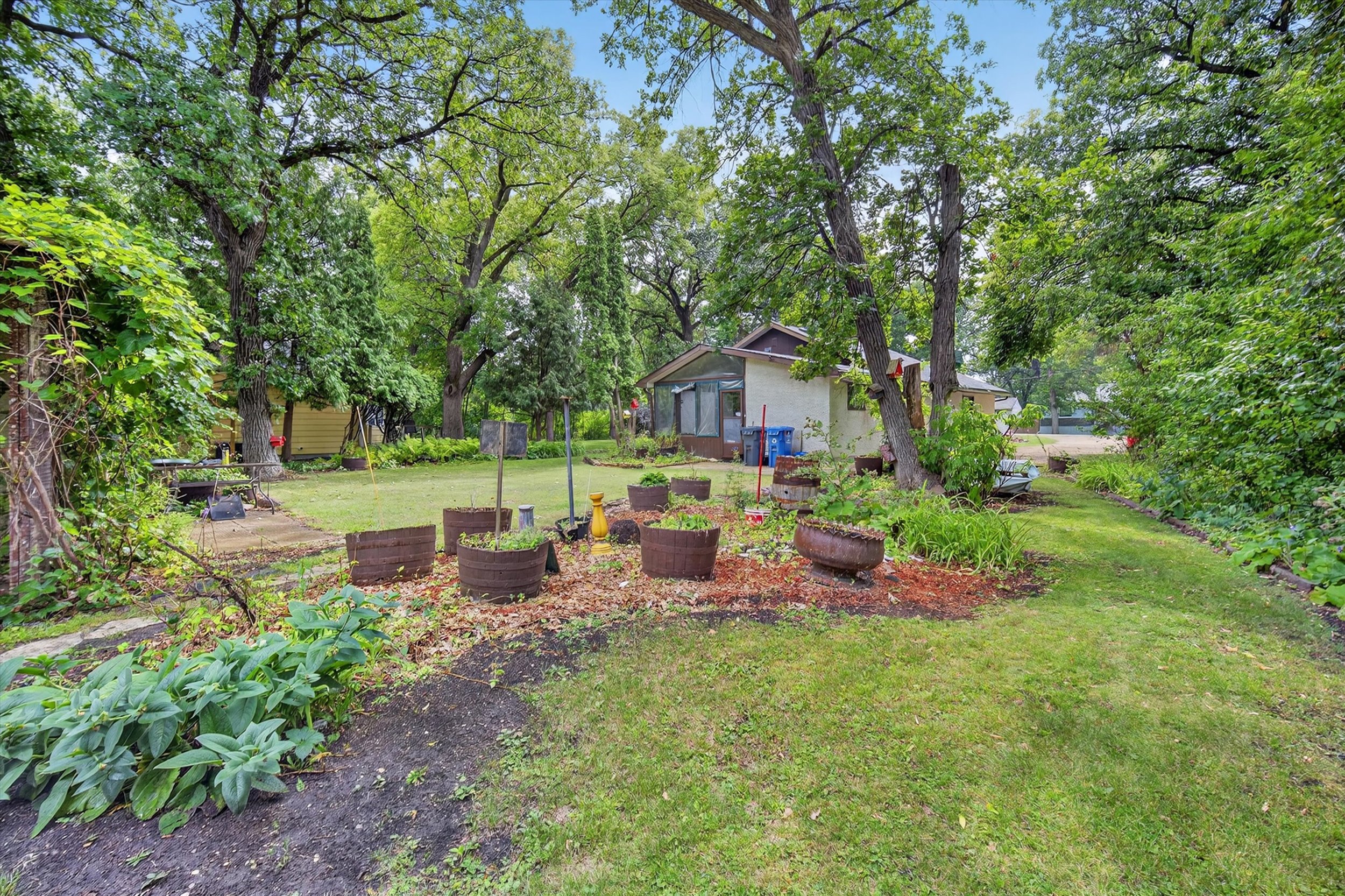 yard 2.jpg
