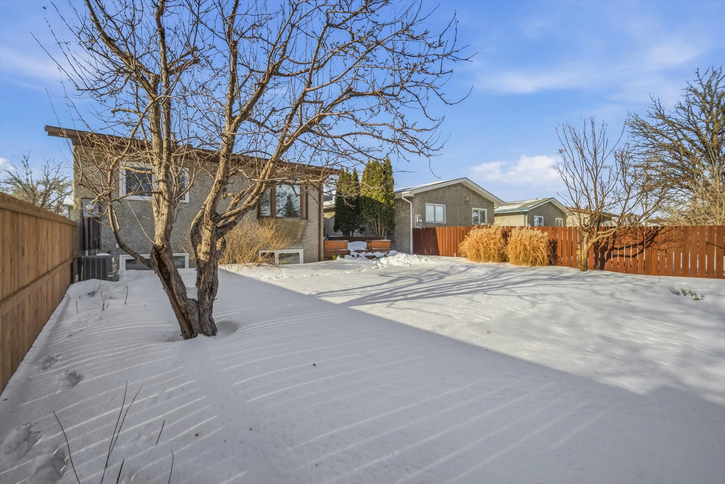 back of house from yard.jpg