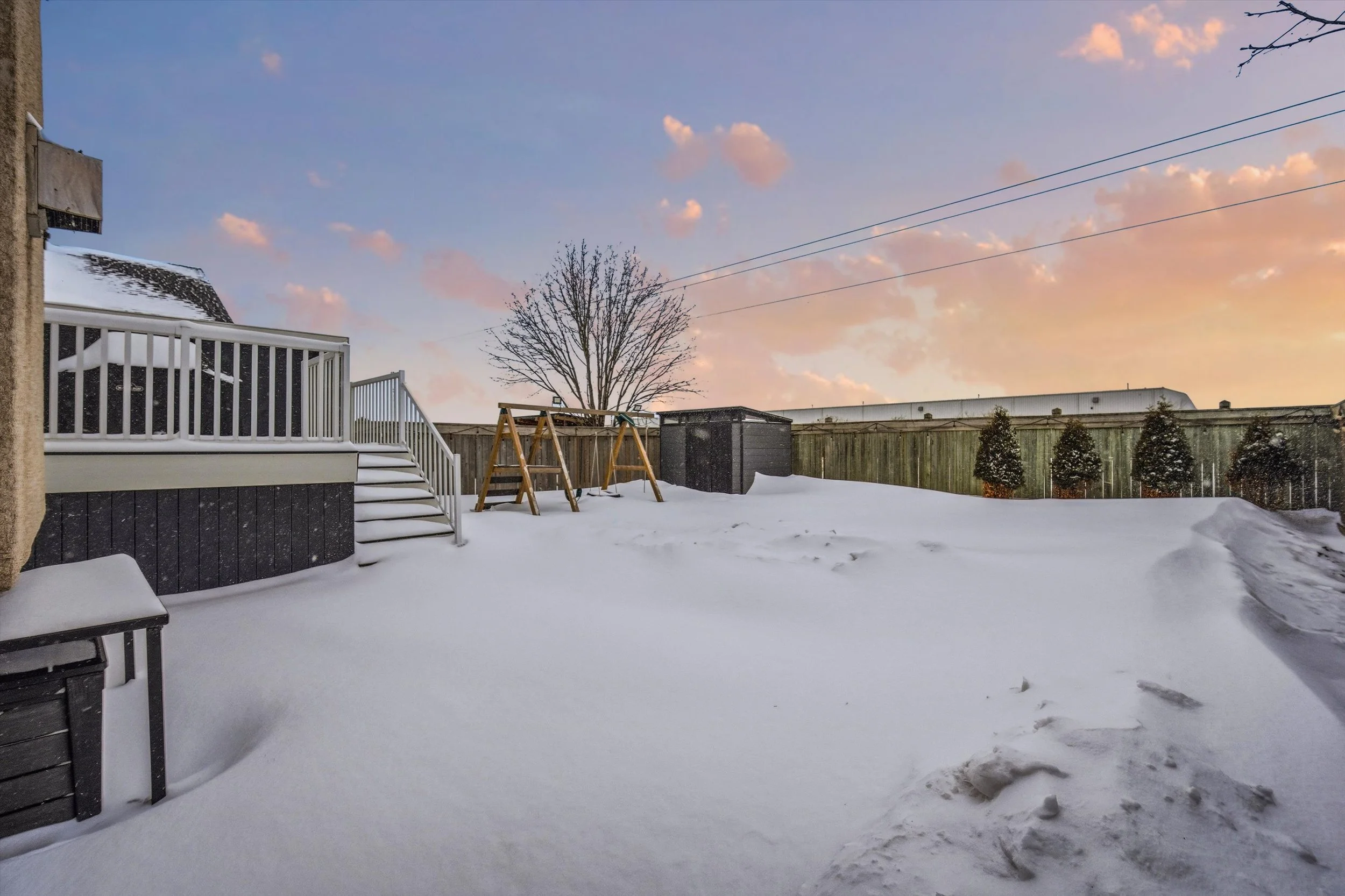 backyard twilight.jpg