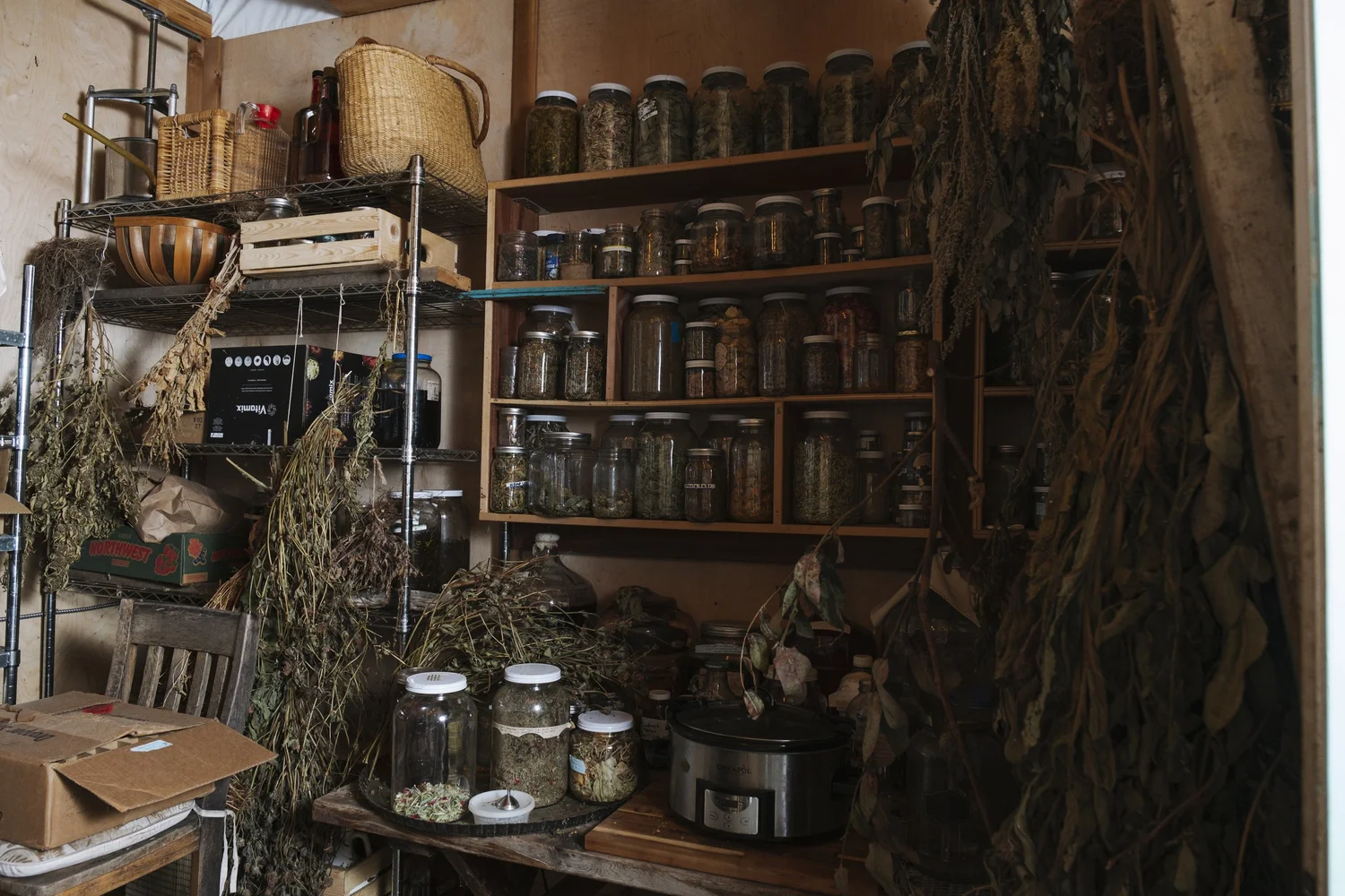 ABOUT — Wapato Island Farm