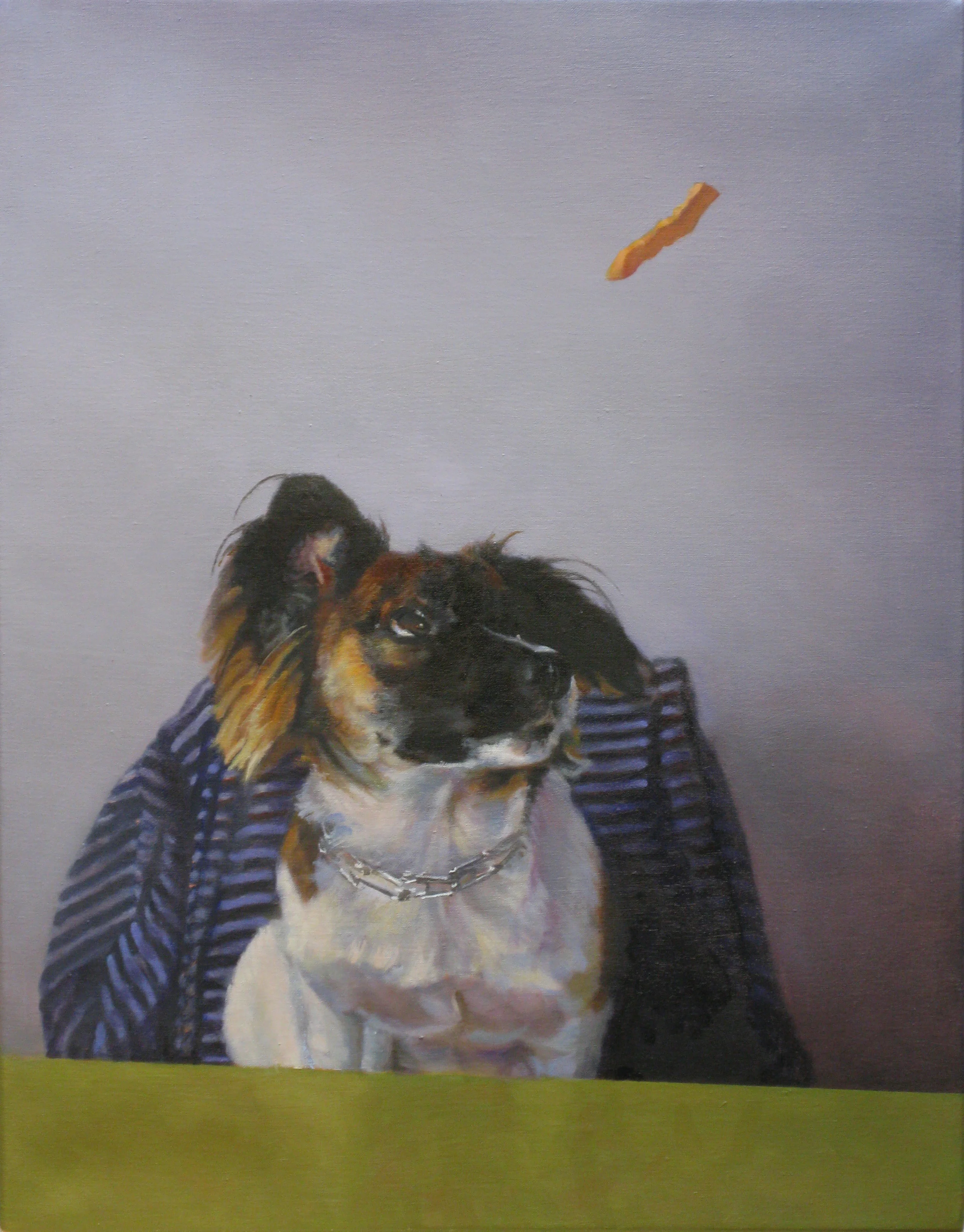 Boone and the Flying Treat (2011)