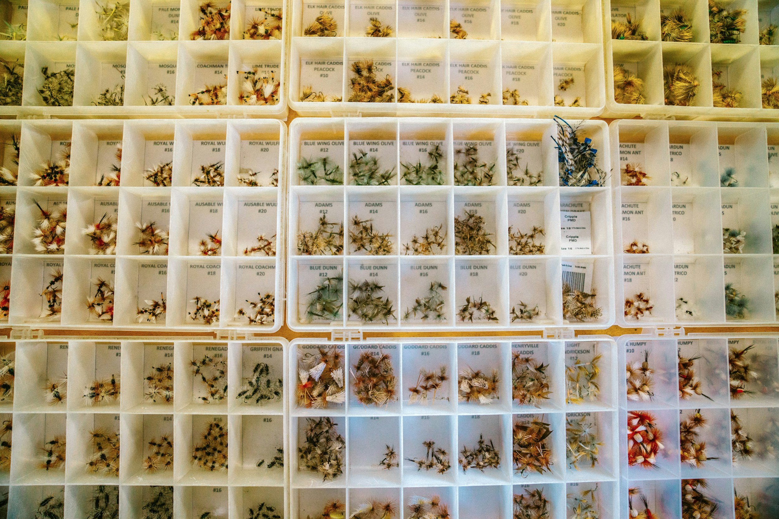 A top-down view of plastic containers filled with various fishing flies organized by color and type.