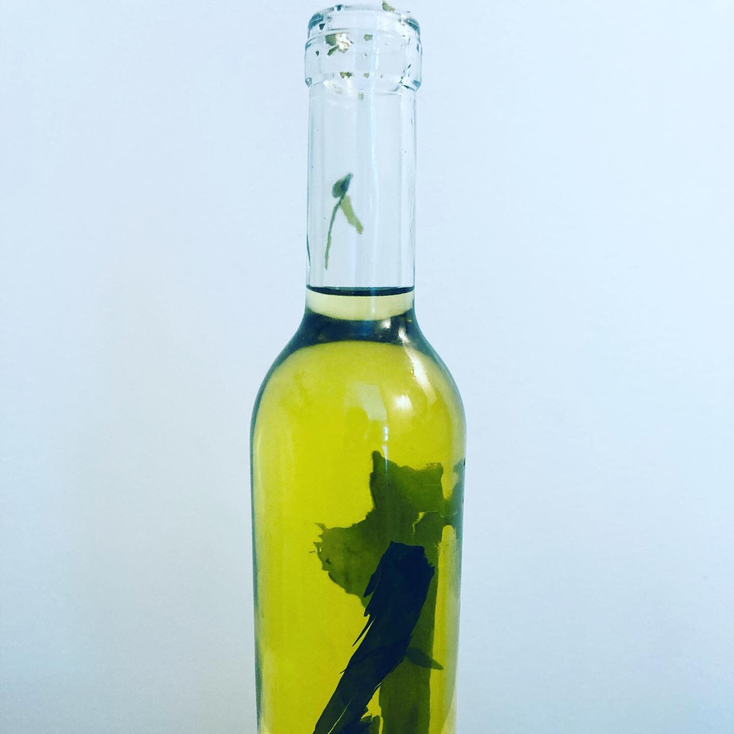 Kelp infused olive oil where the 🌊 + 🫒 = 💙&hellip;. Very limited run of these at the shop. I&rsquo;m not futzing with shipping so stop by and grab one this weekend. #infusion #seaweed #seafood #newenglandeats