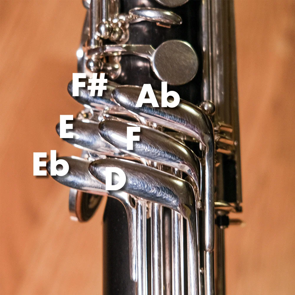Selmer Privilege Low C Bass — Selected and Set Up from Earspasm