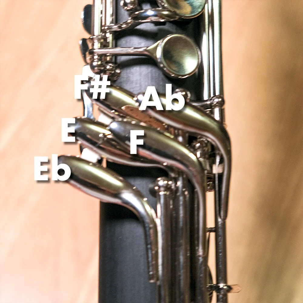 Kessler Custom Low C Bass Direct from Earspasm