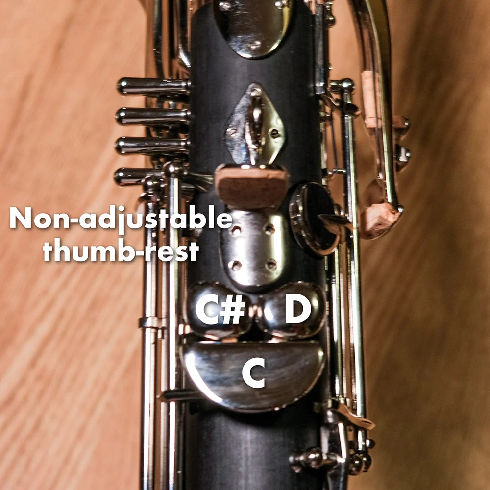 Kessler Custom Low C Bass Direct from Earspasm