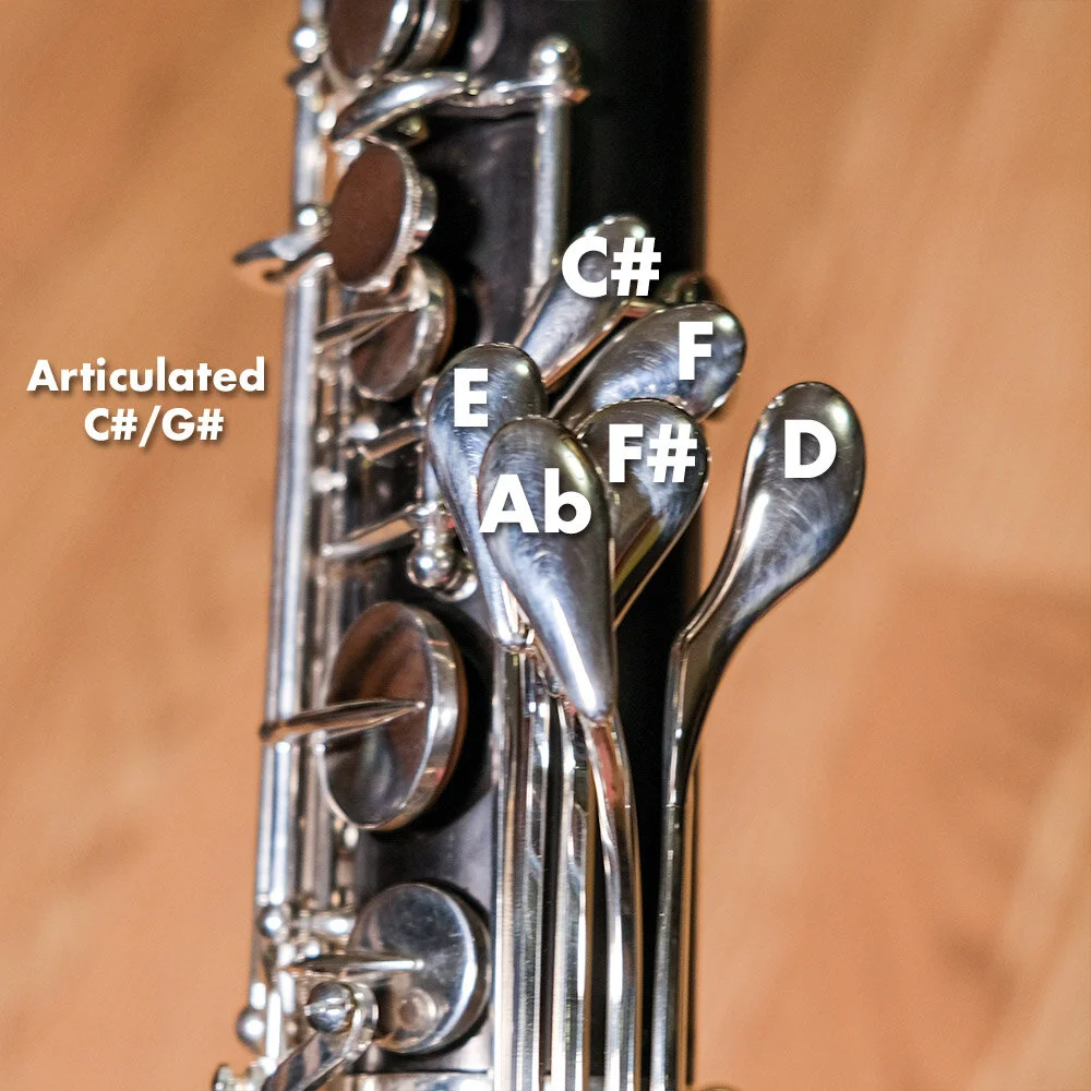 Selmer Privilege Low C Bass — Selected and Set Up from Earspasm