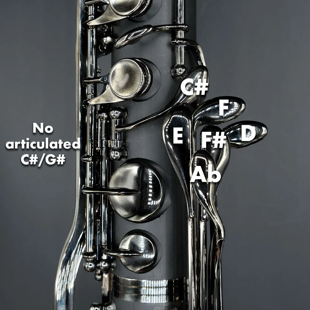 Kessler Low C Bass Midnight Model Direct from Earspasm