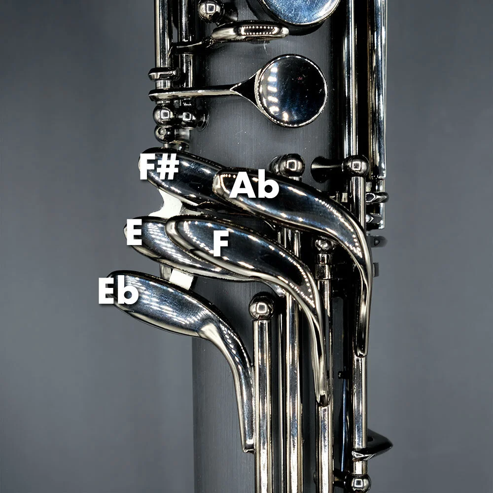 Kessler Low C Bass Midnight Model Direct from Earspasm