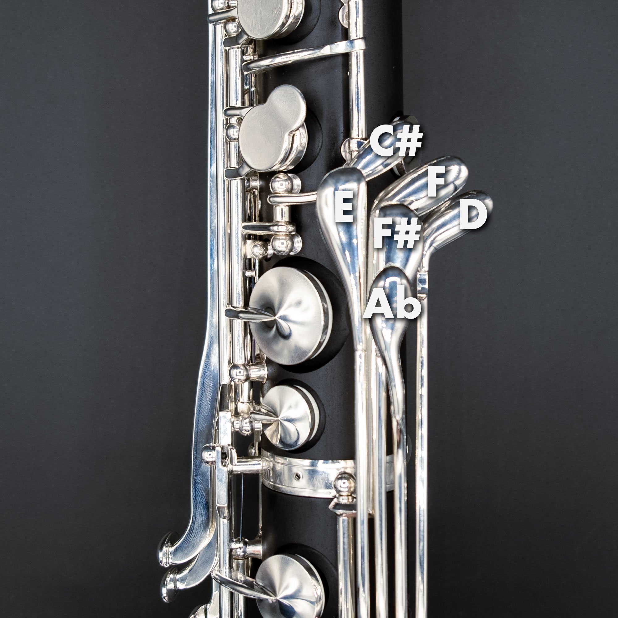 Royal Global MAX Low C Bass