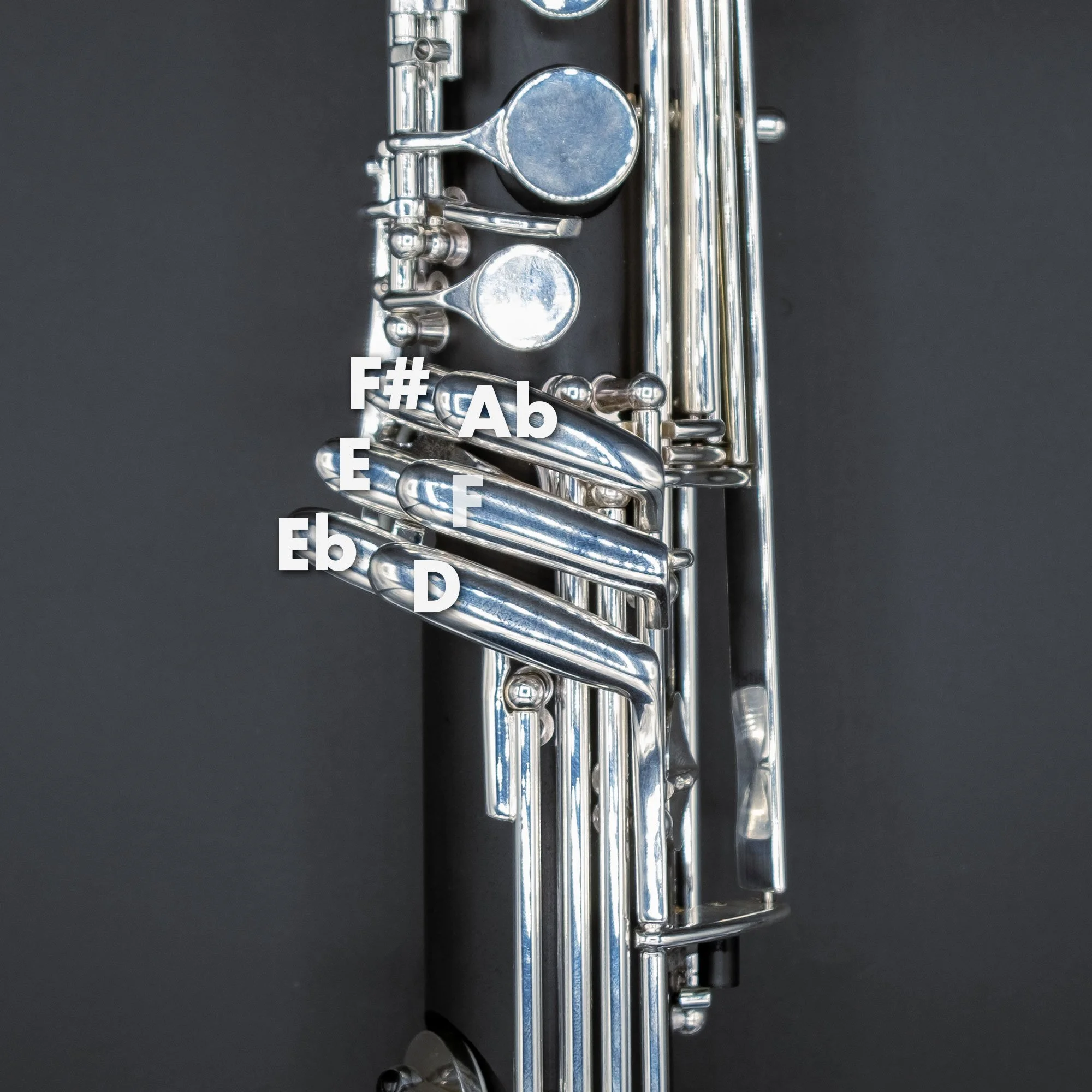 Royal Global MAX Low C Bass