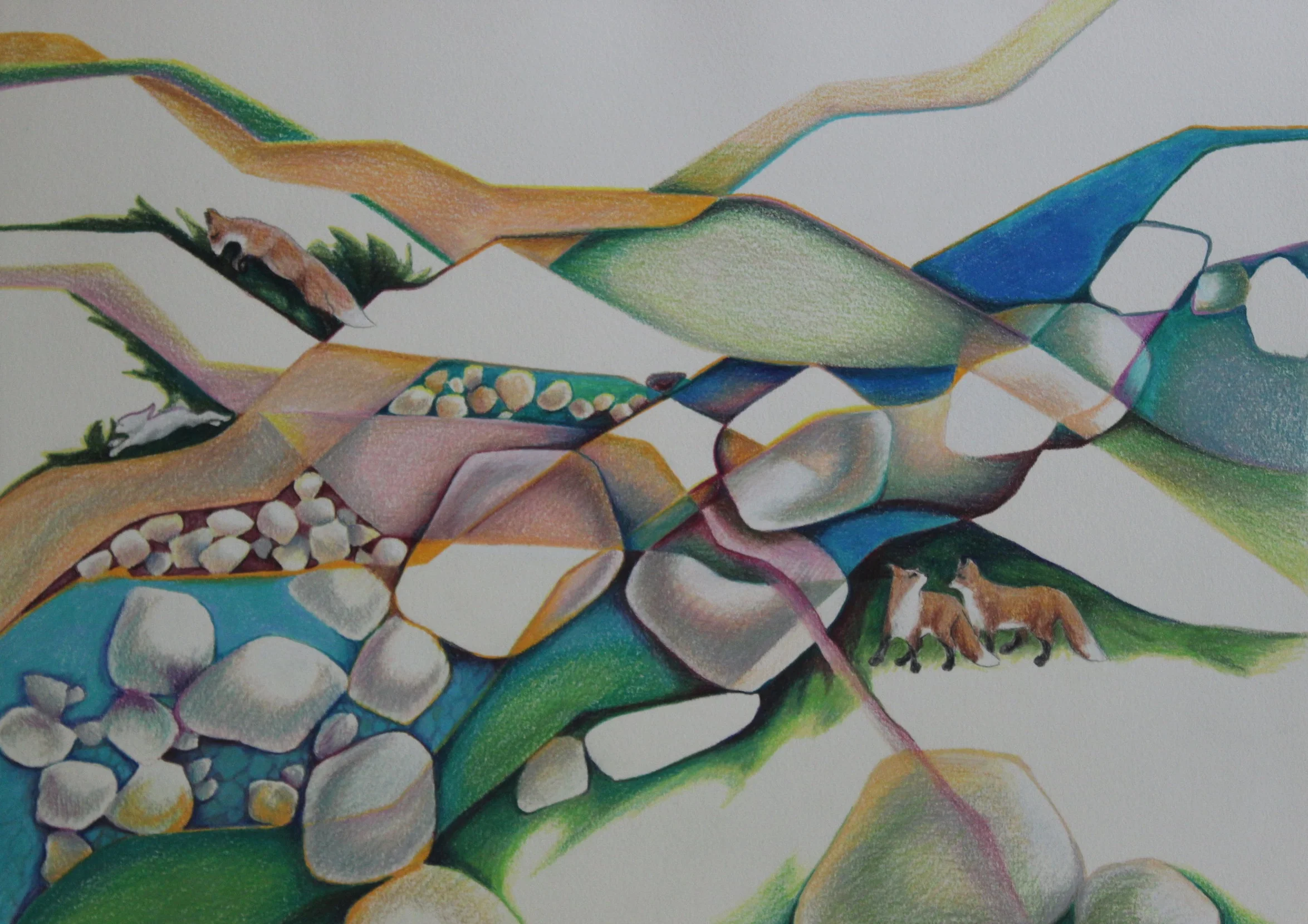 FOXES. prismacolor. 16 x 20. Giclee prints available $50 . 4 color 10 x 12” prints $30