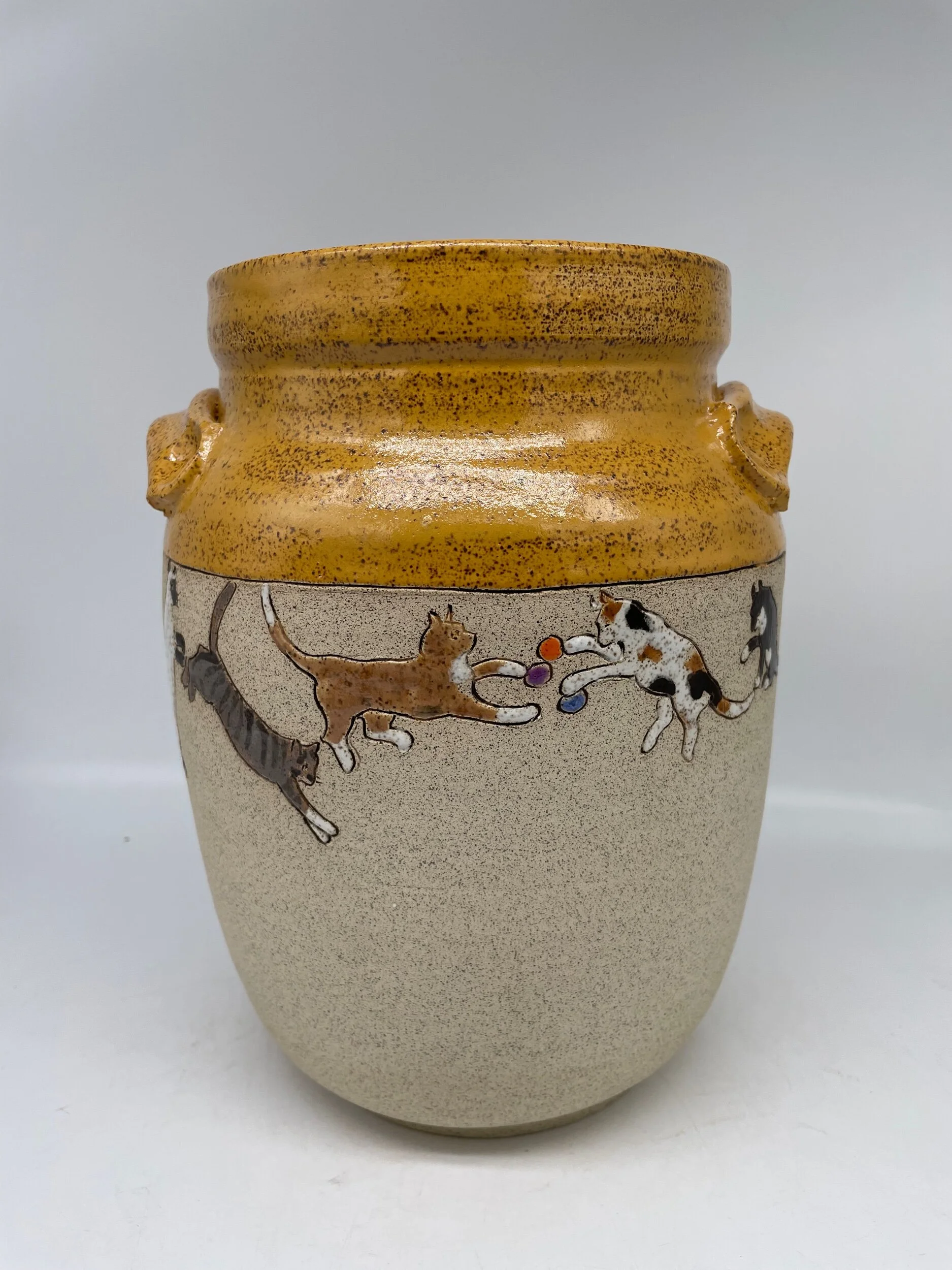 5B0AD56D-C668-4E7A-BFAA-167C41F1FFEA