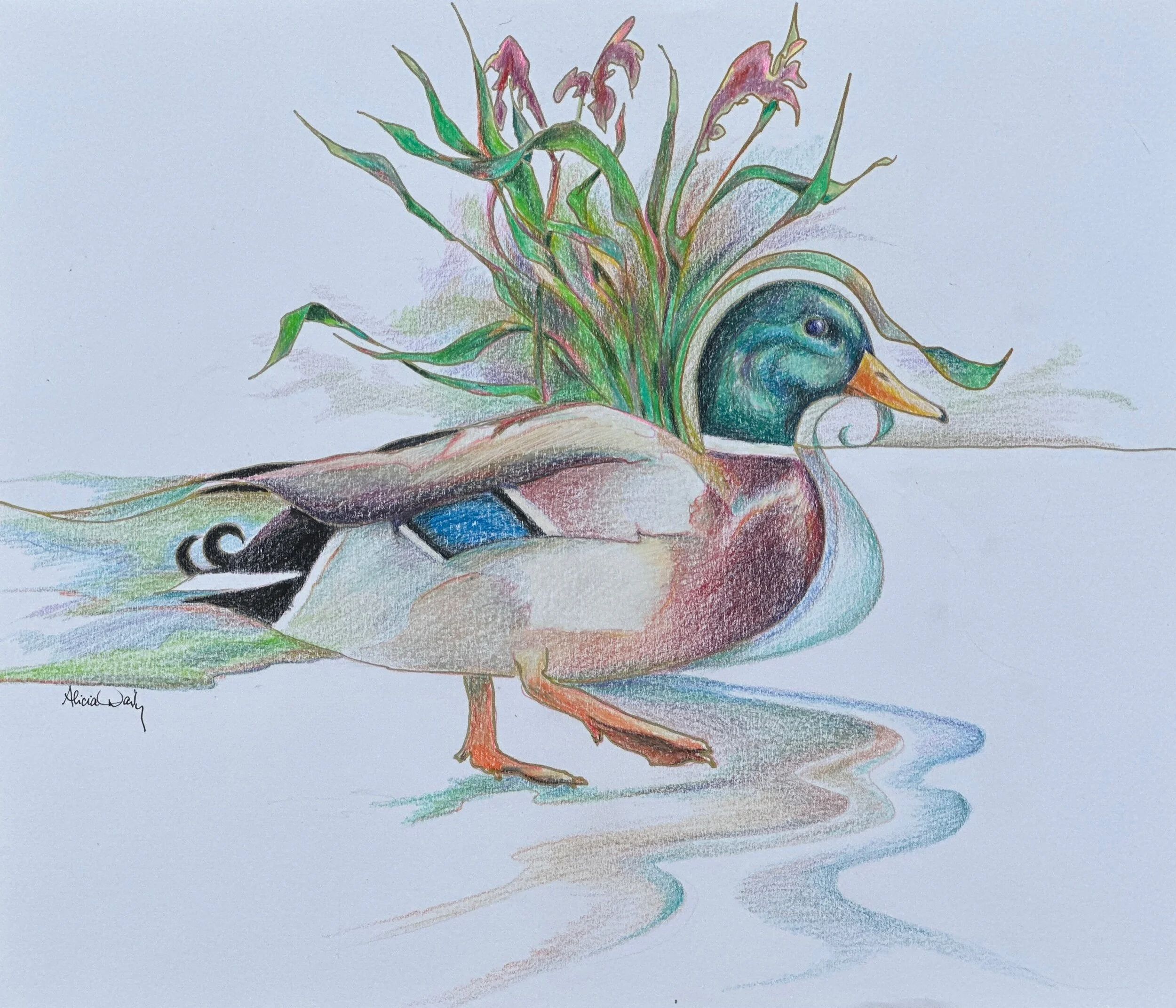 DABED802-5516-41D5-AD34-1B890903455F