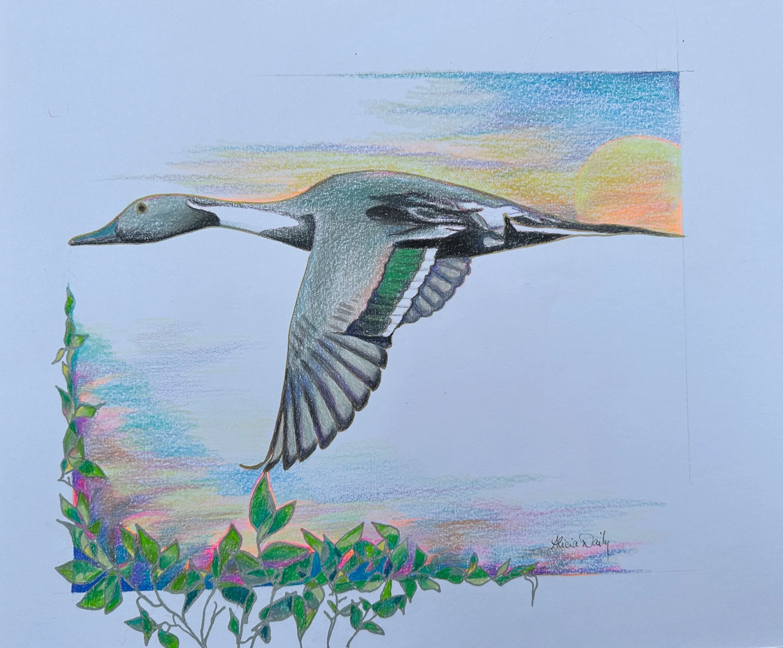 30DF5FB7-3CBC-4817-9523-5A0A60CCFD81