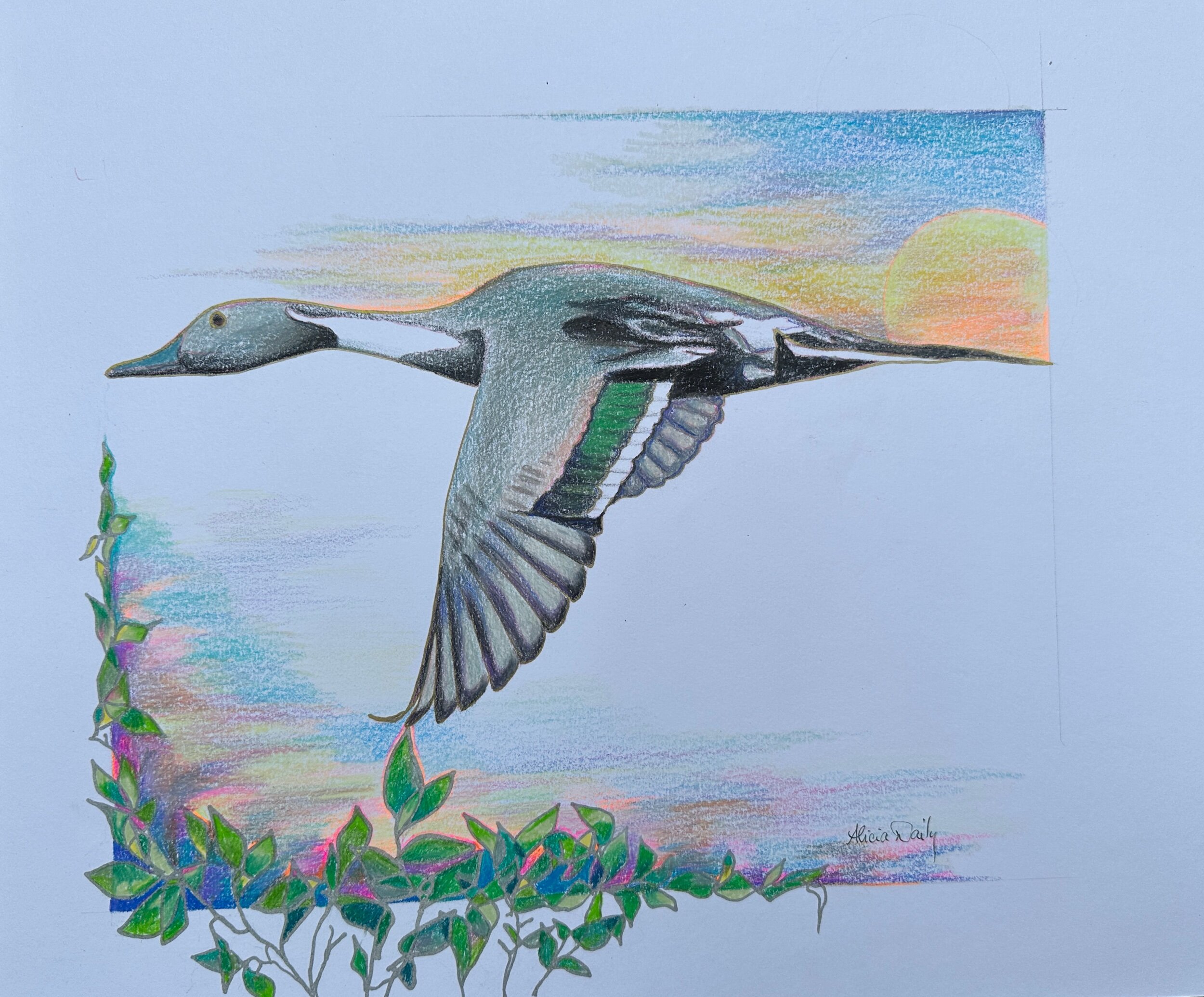 1F739237-AC96-4677-AC7B-B03B94DED07C