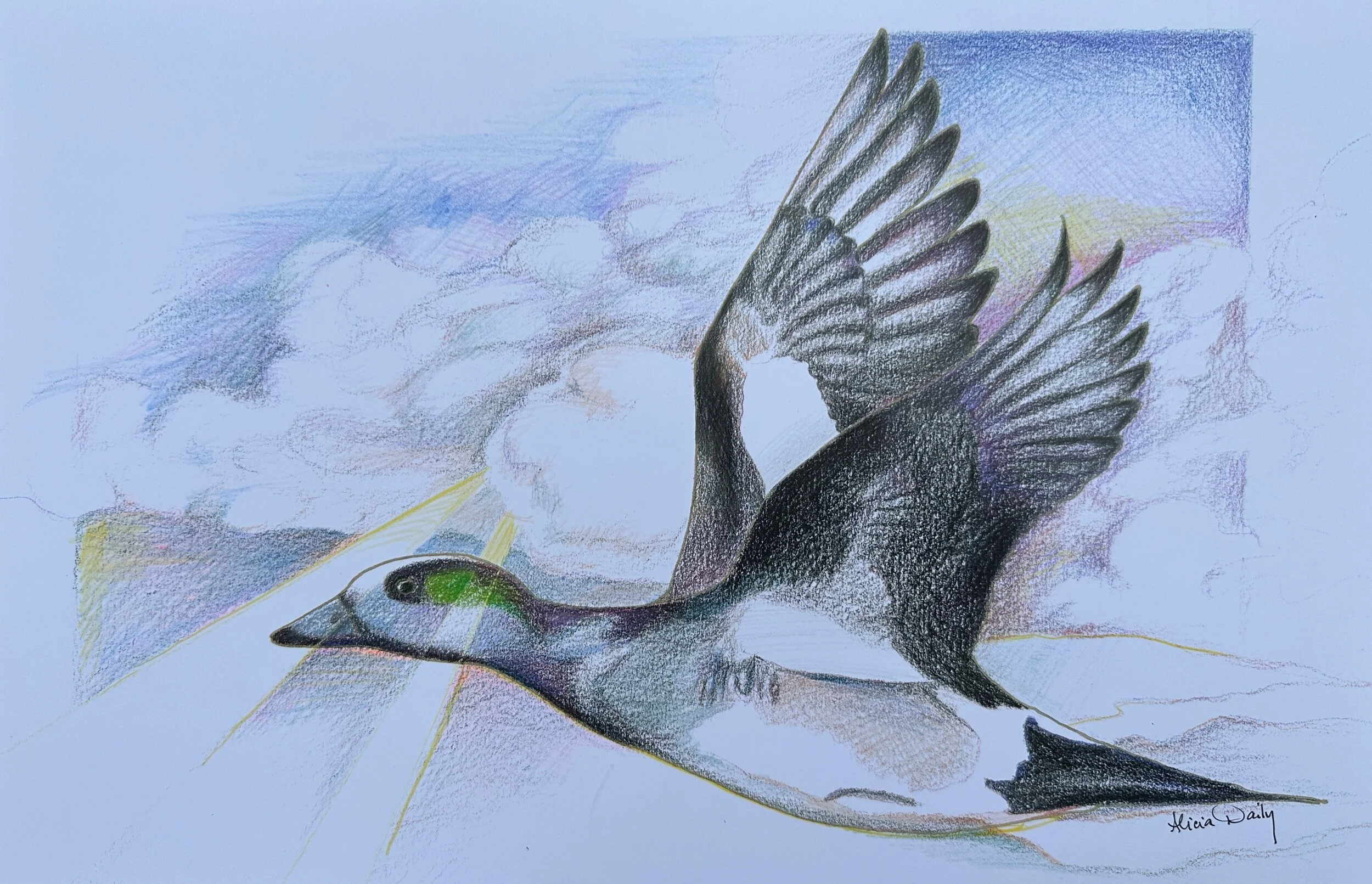 6338F03A-E98C-43CE-9680-F4354482D39F