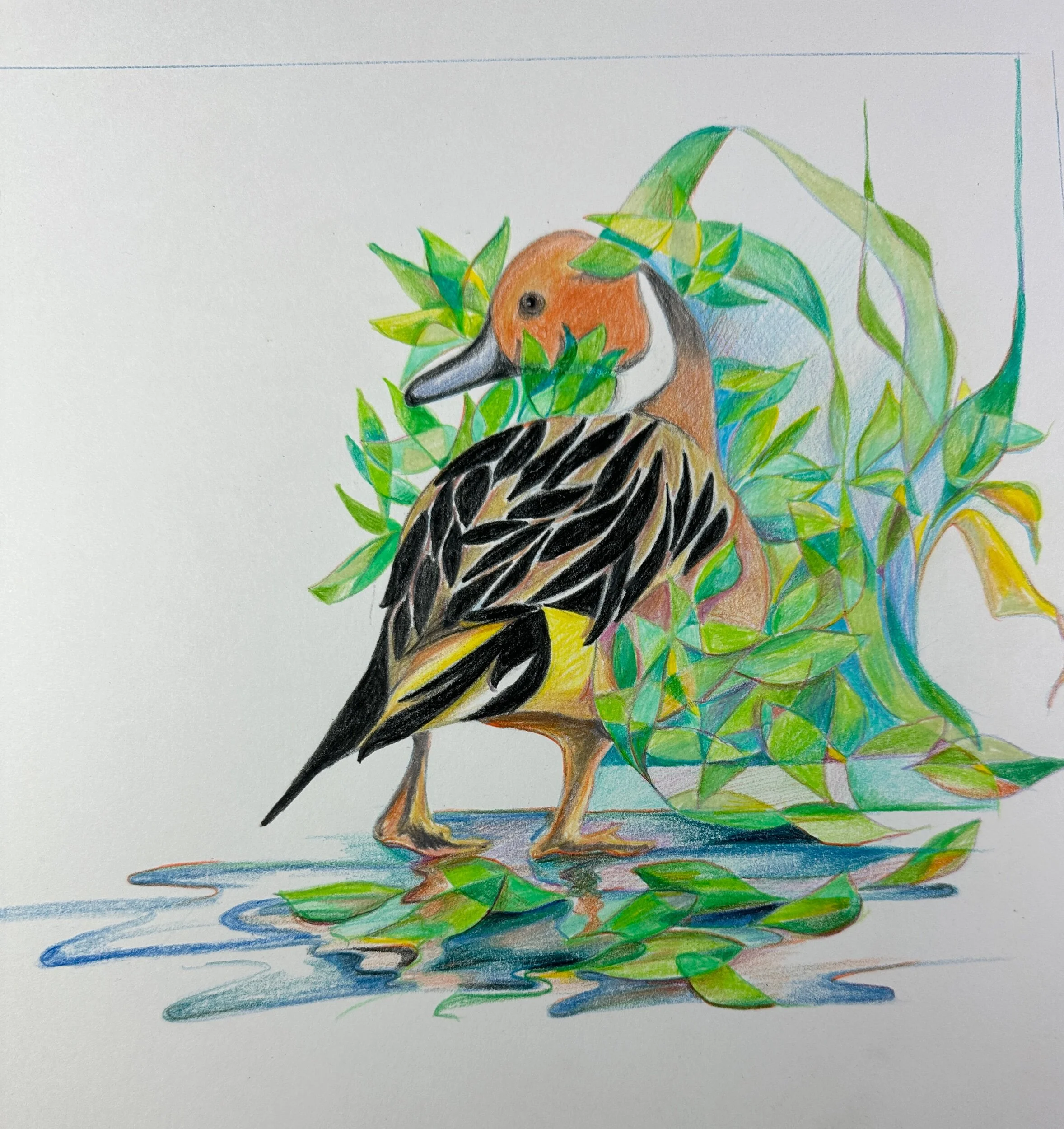 D369A9CA-5A0F-44A3-AA87-ECF9D43DD47E