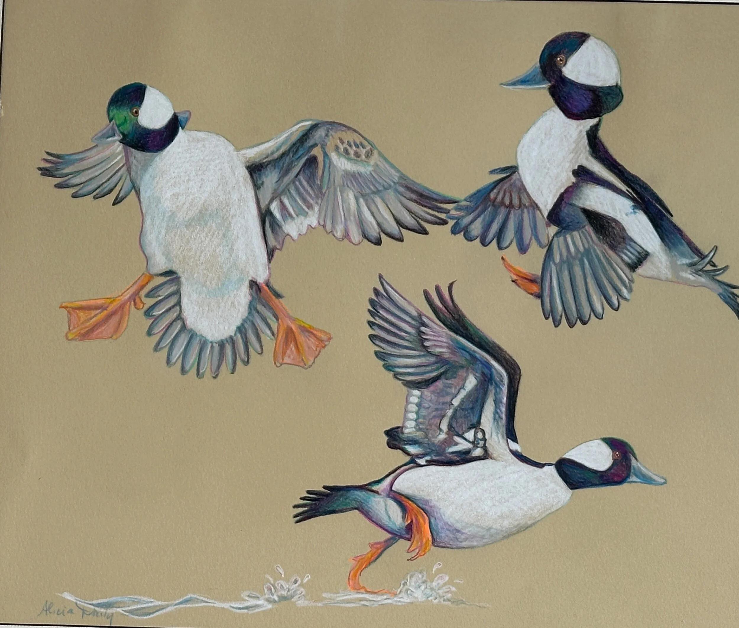 10C50E74-7397-44FC-A2B6-219B5E438CEA