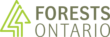 FO_LOGO_CMYK.gif
