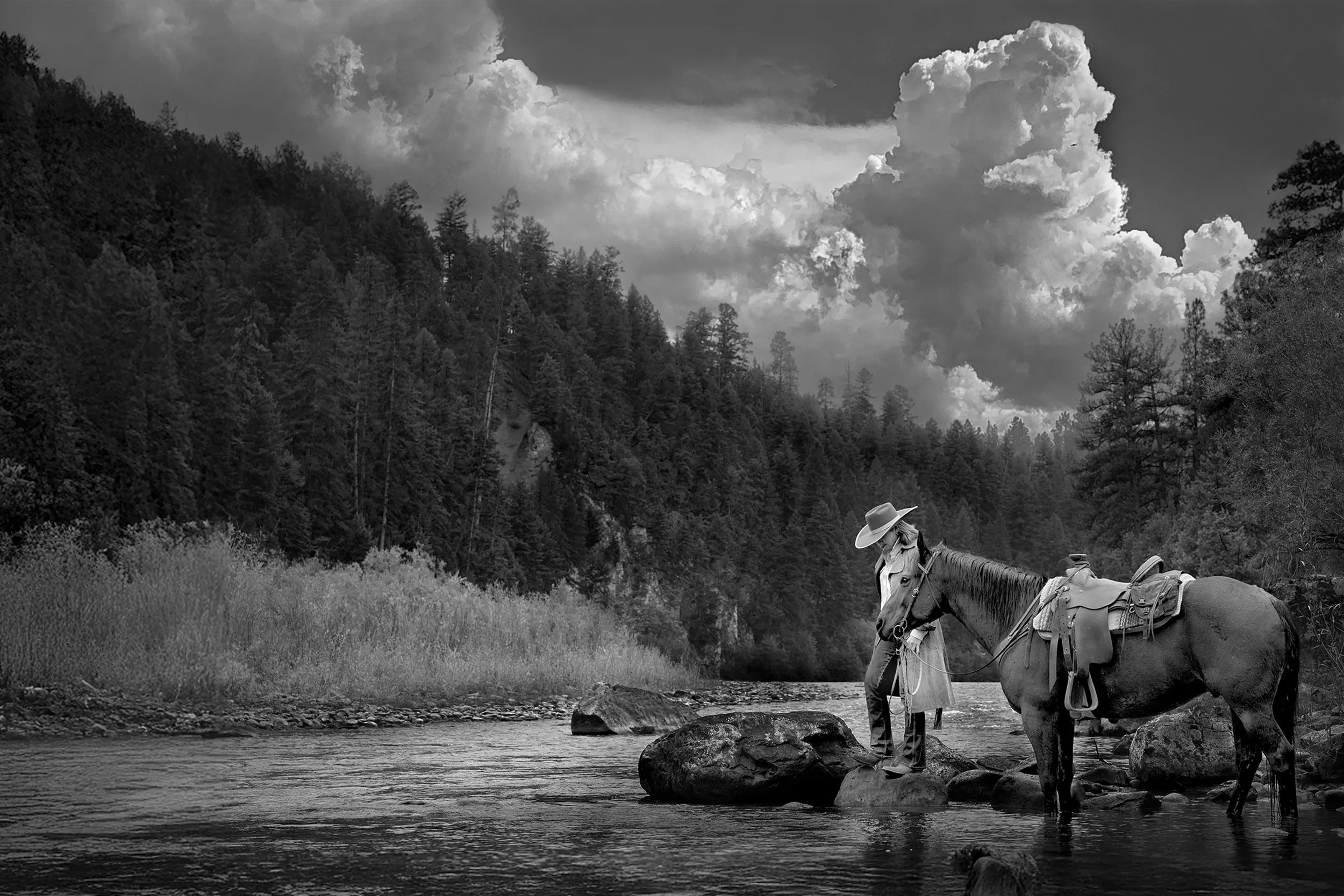 Montana: Courage, Connection, and the Beauty of Everyday