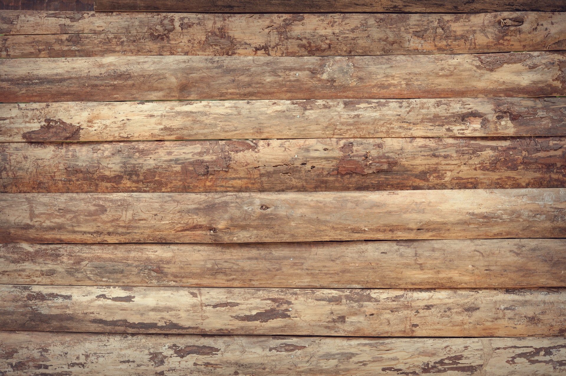 brown-dried-log-172278.jpg