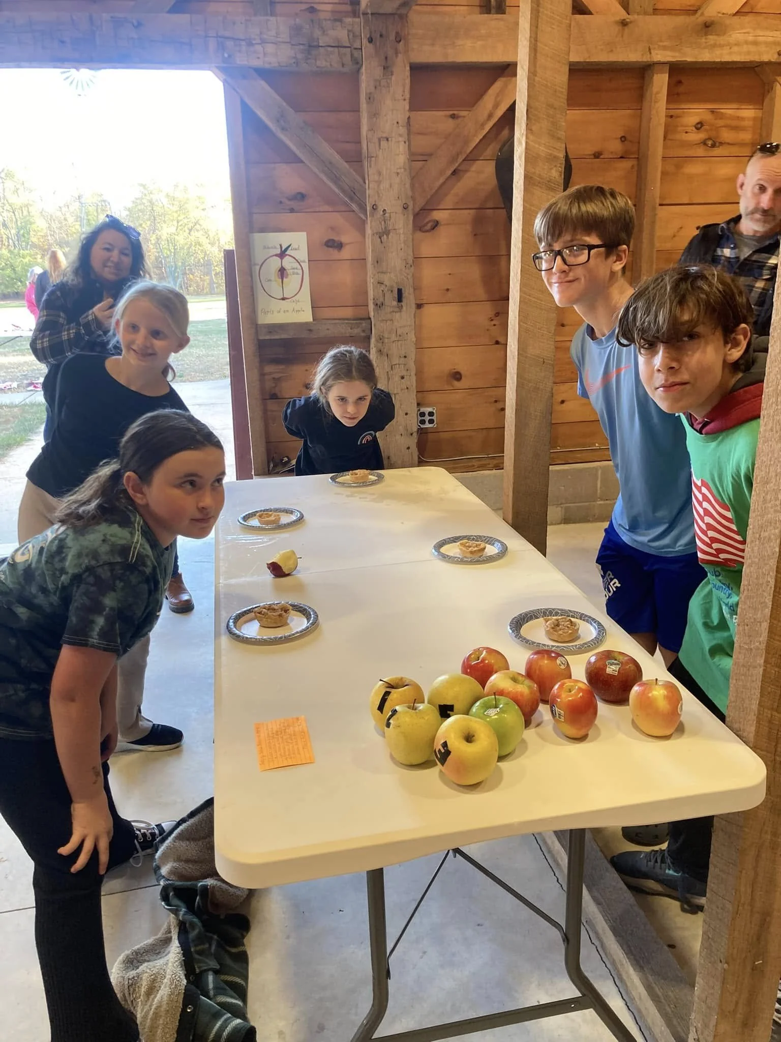 Apples on the Homestead