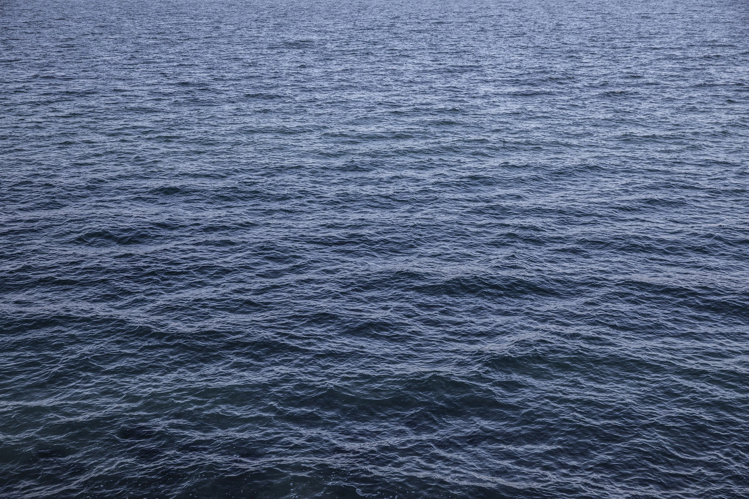 03sup_00082.jpg